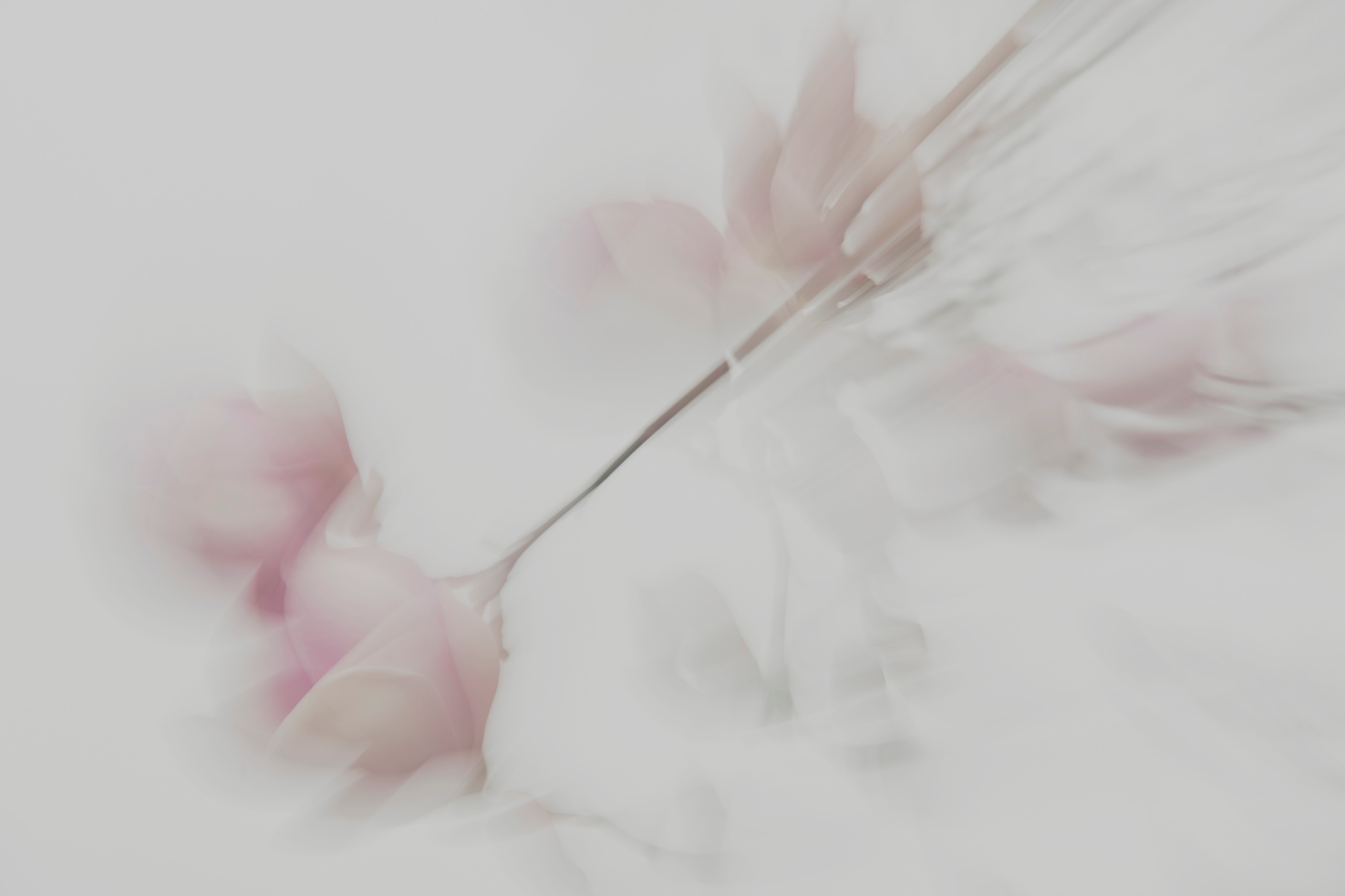 MOTHER (in progress). Anastasiia Antoniuk portrait, family and couple photographer, Portugal