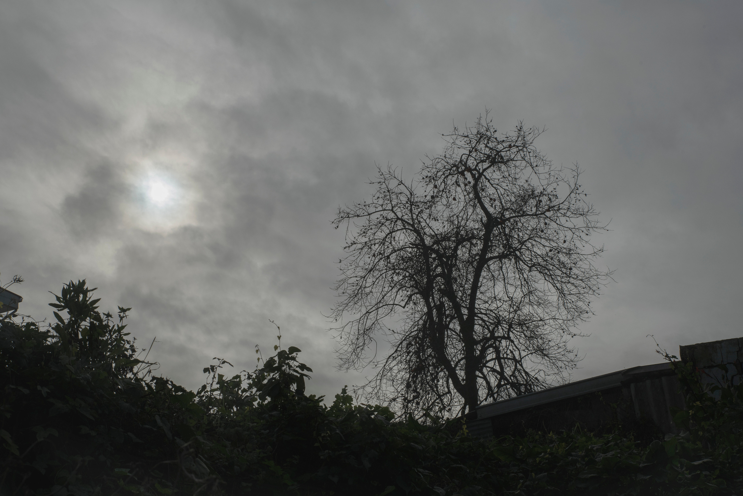 MOTHER (in progress). Anastasiia Antoniuk portrait, family and couple photographer, Portugal