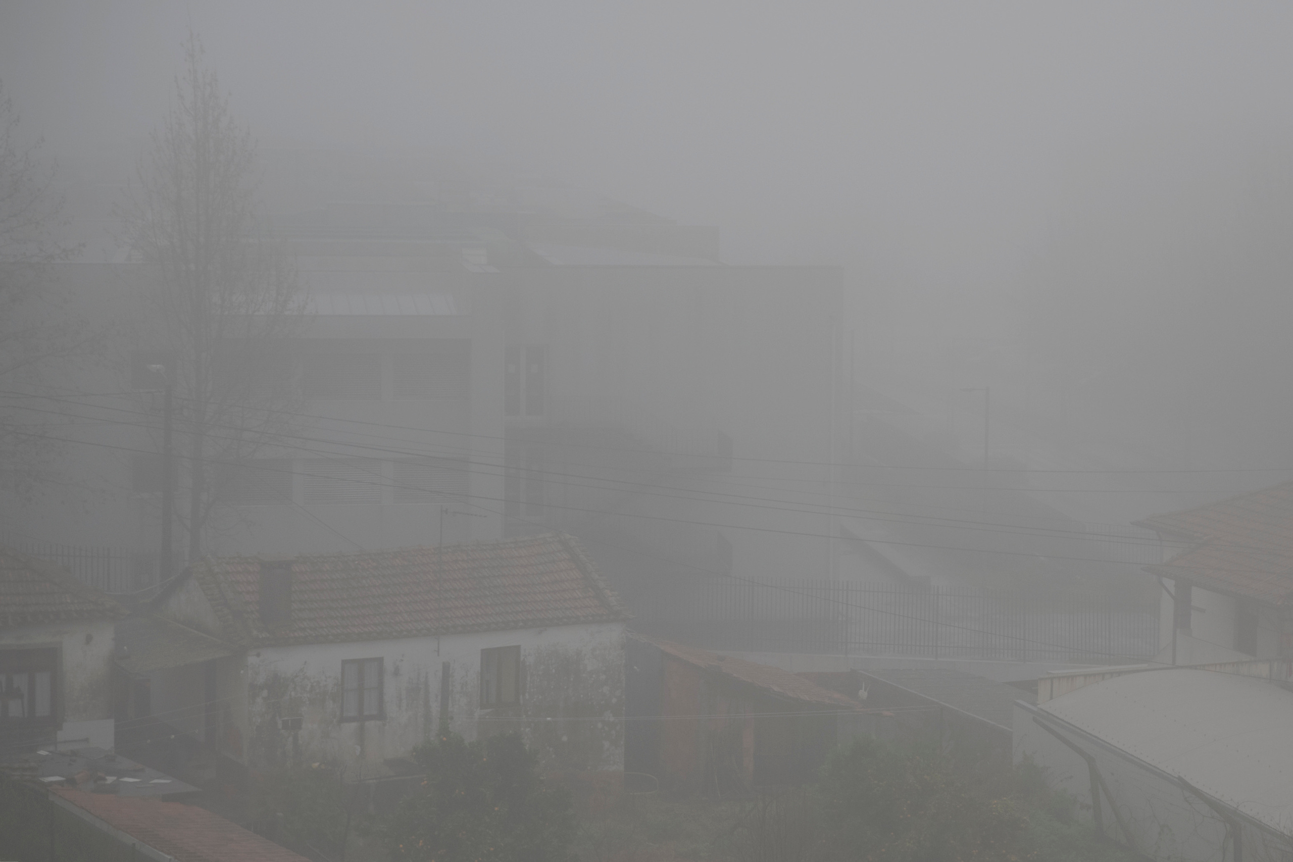 MOTHER (in progress). Anastasiia Antoniuk portrait, family and couple photographer, Portugal