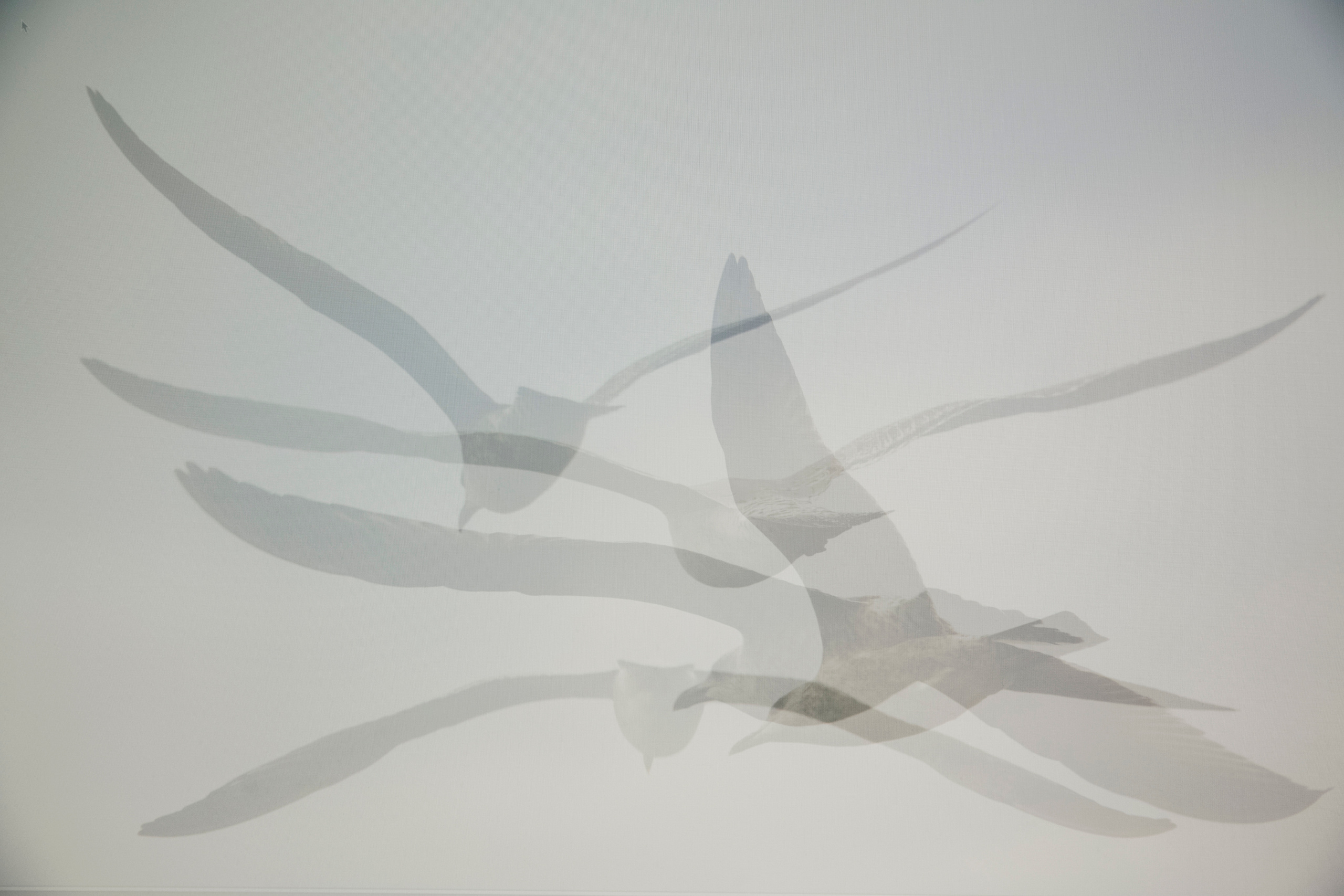 MOTHER (in progress). Anastasiia Antoniuk portrait, family and couple photographer, Portugal