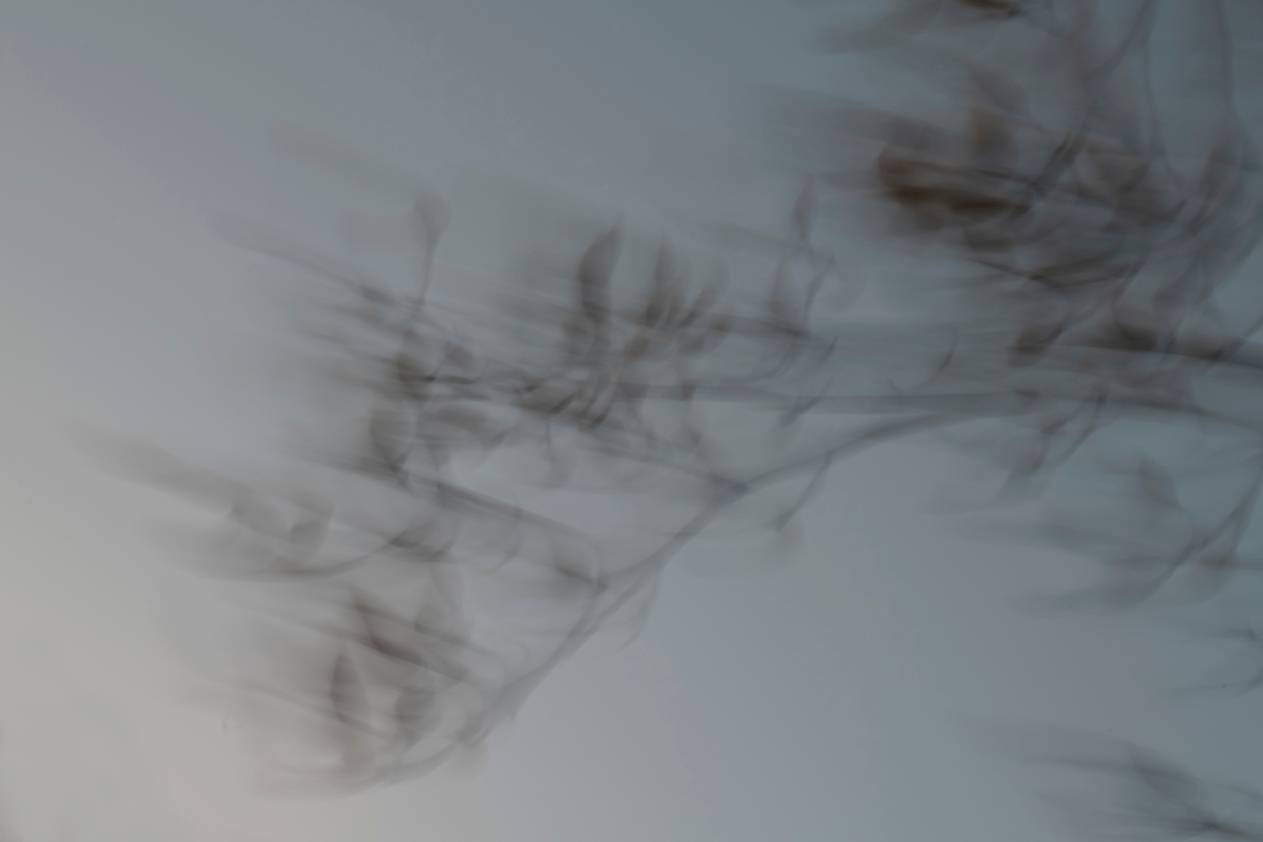 MOTHER (in progress). Anastasiia Antoniuk portrait, family and couple photographer, Portugal