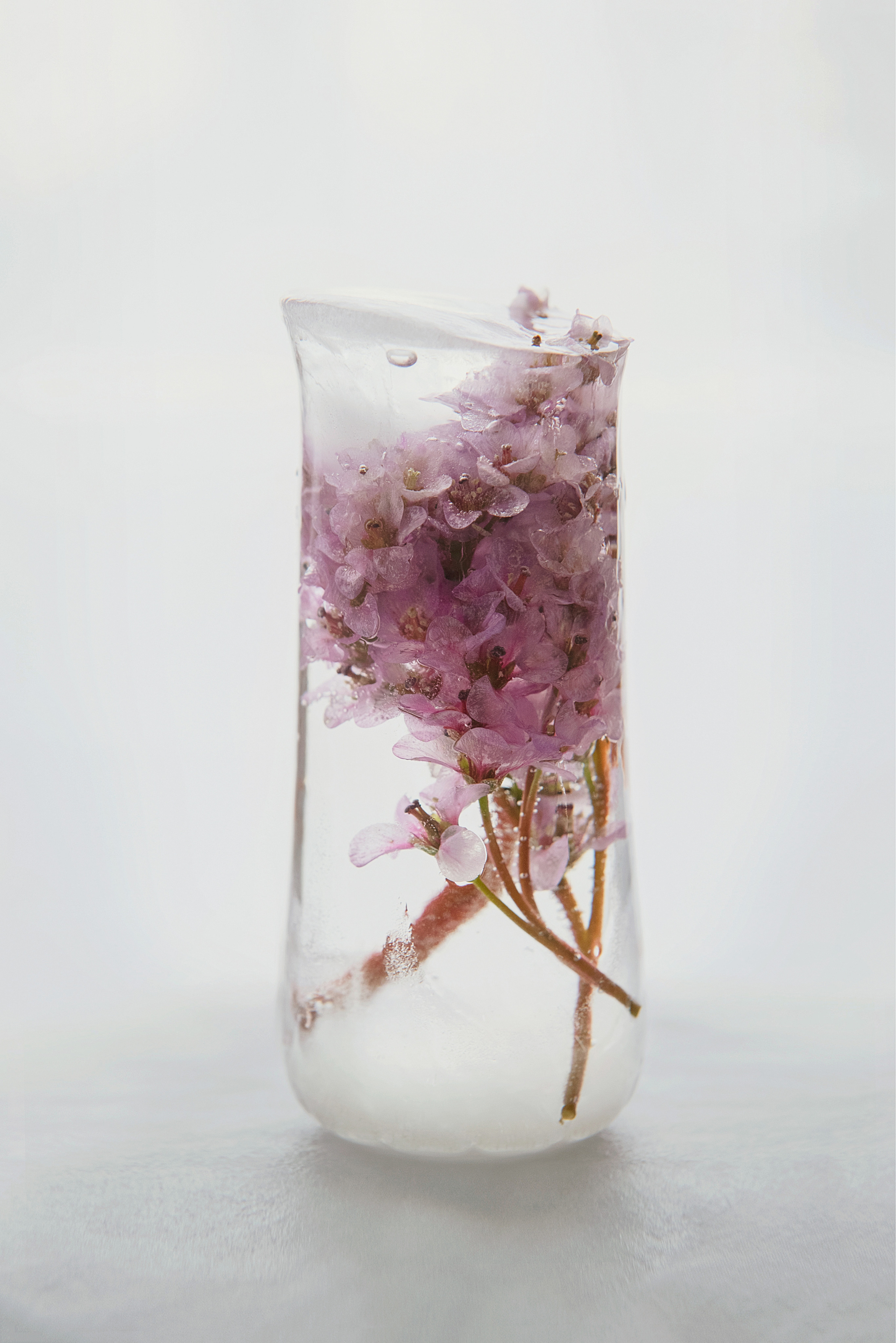 RECONSTRUCTION. Anastasiia Antoniuk portrait, family and couple photographer, Portugal