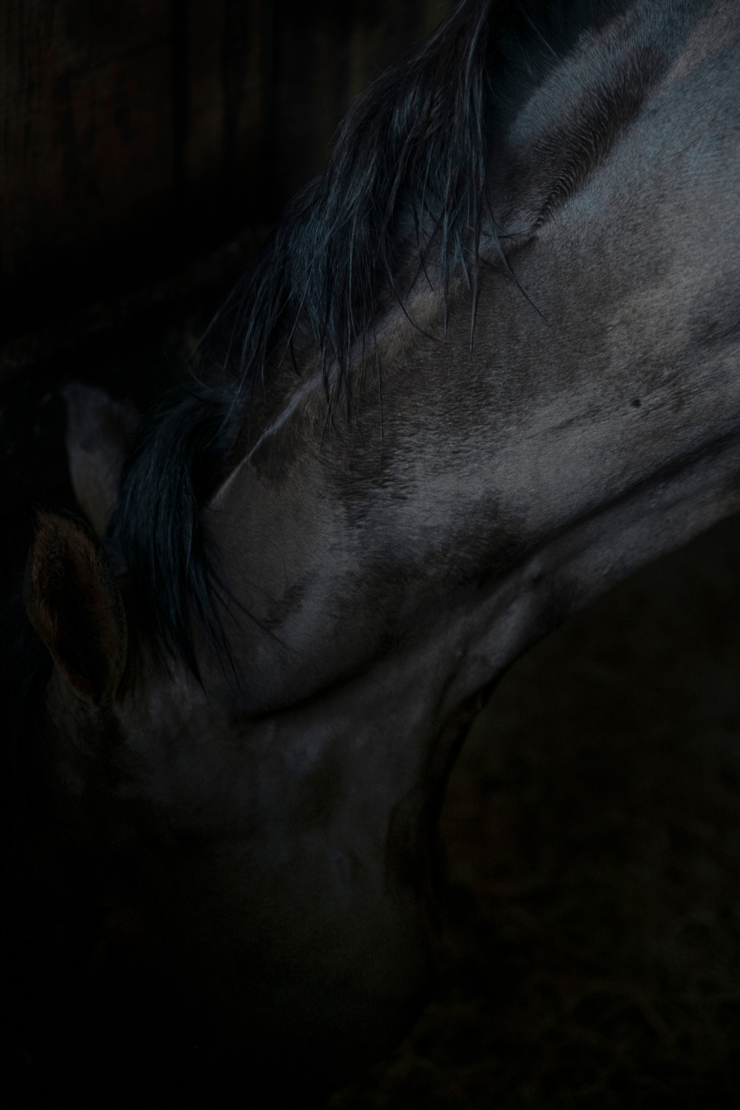 MOTHER (in progress). Anastasiia Antoniuk portrait, family and couple photographer, Portugal