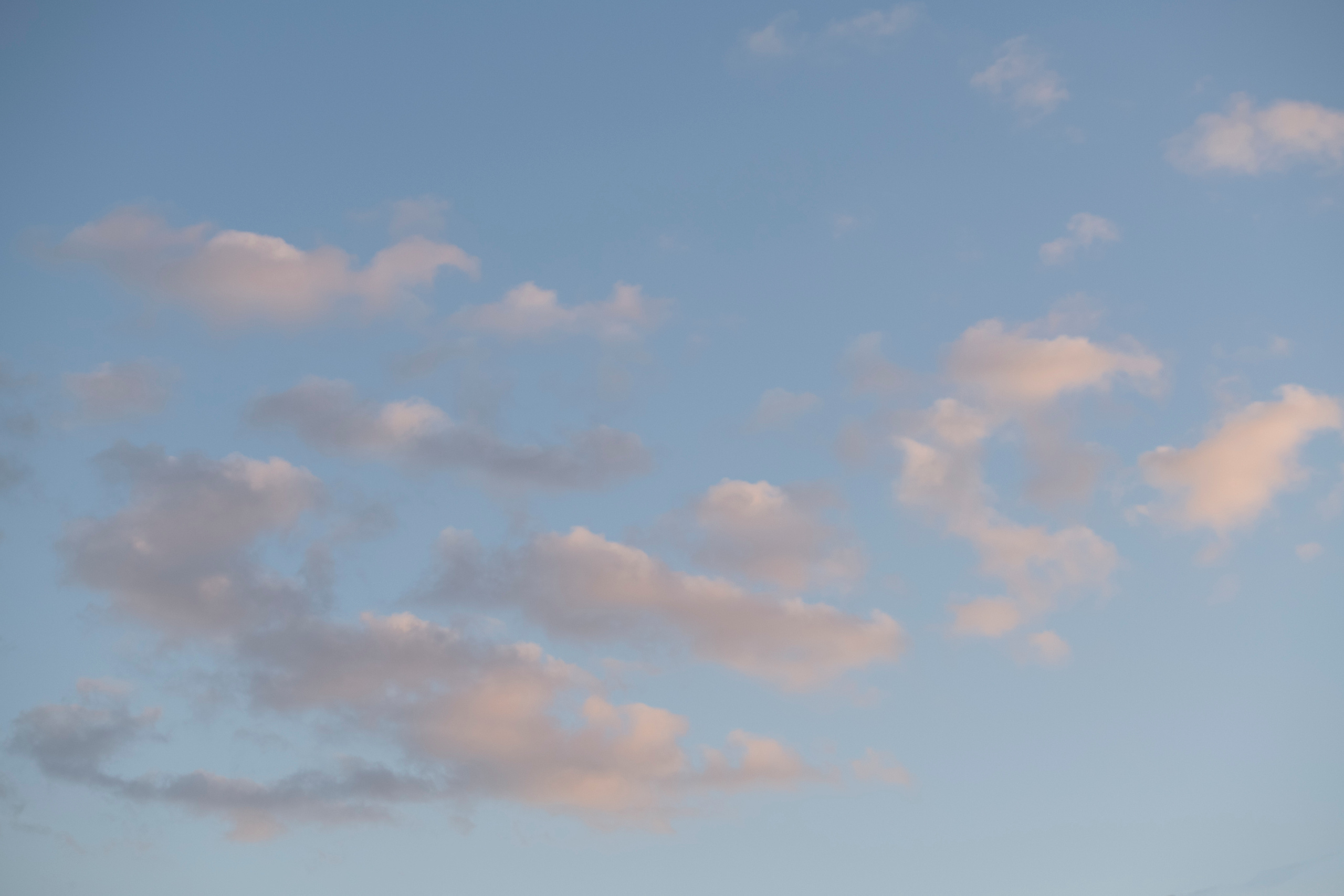 MOTHER (in progress). Anastasiia Antoniuk portrait, family and couple photographer, Portugal
