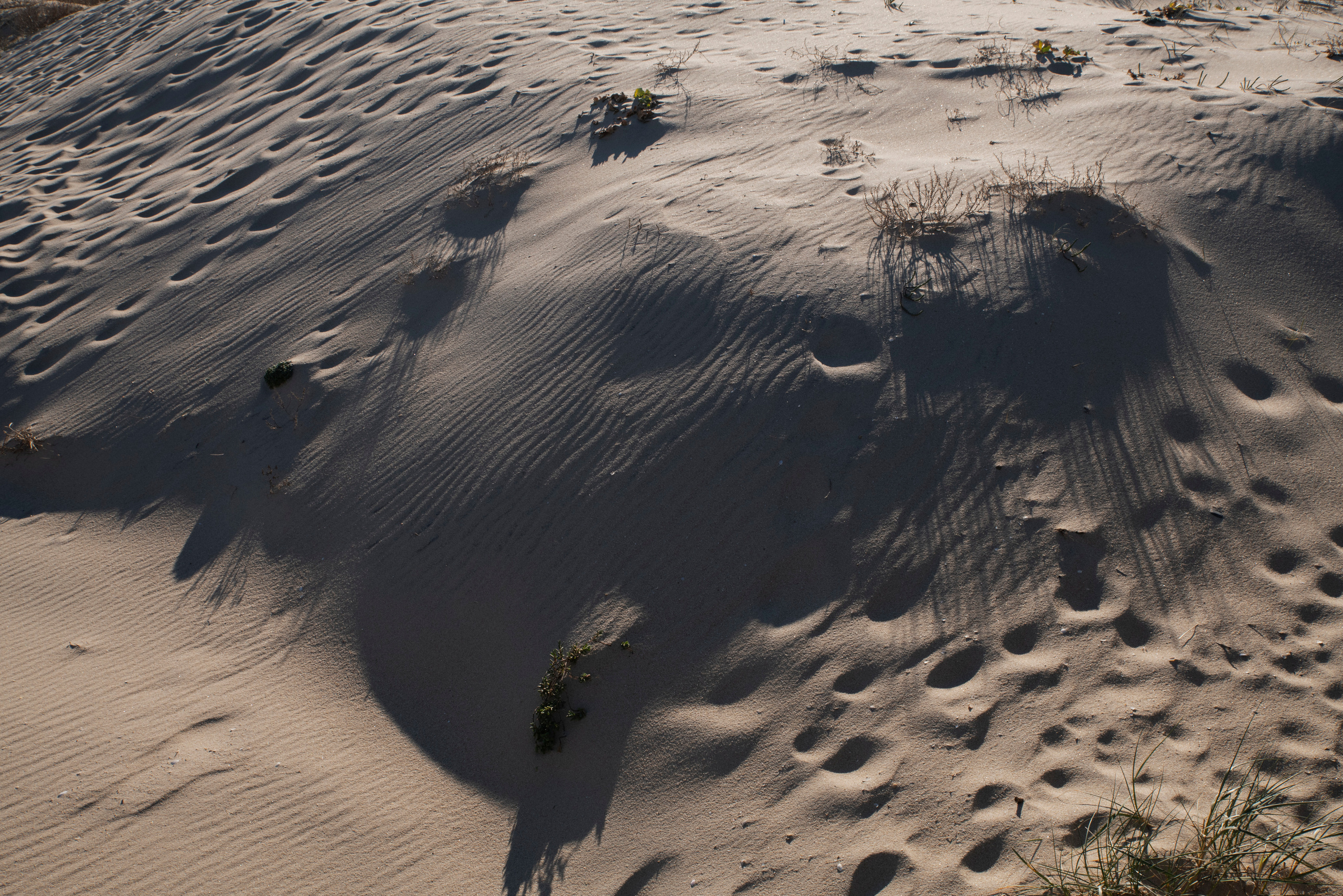 RECONSTRUCTION. Anastasiia Antoniuk portrait, family and couple photographer, Portugal