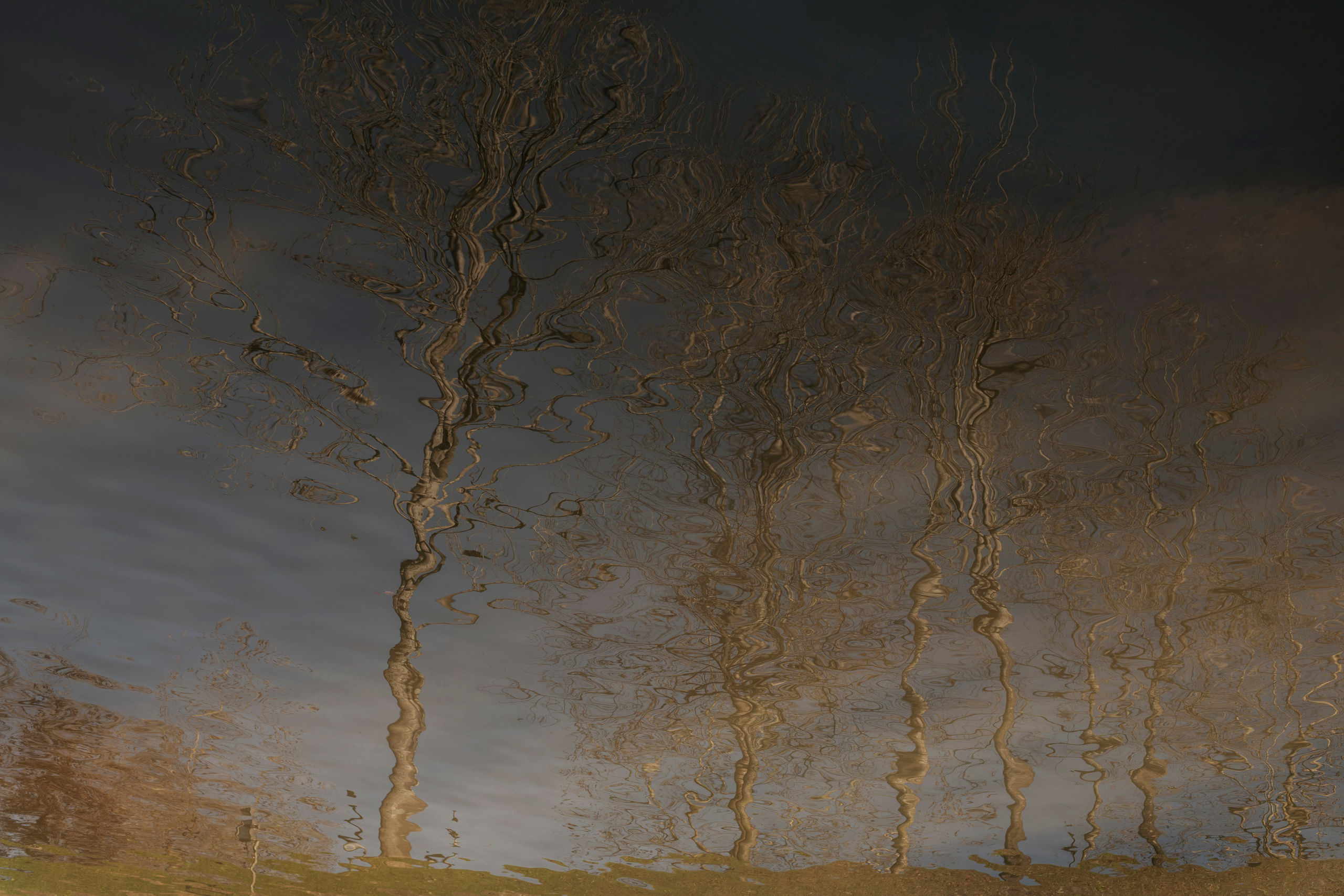 MOTHER (in progress). Anastasiia Antoniuk portrait, family and couple photographer, Portugal