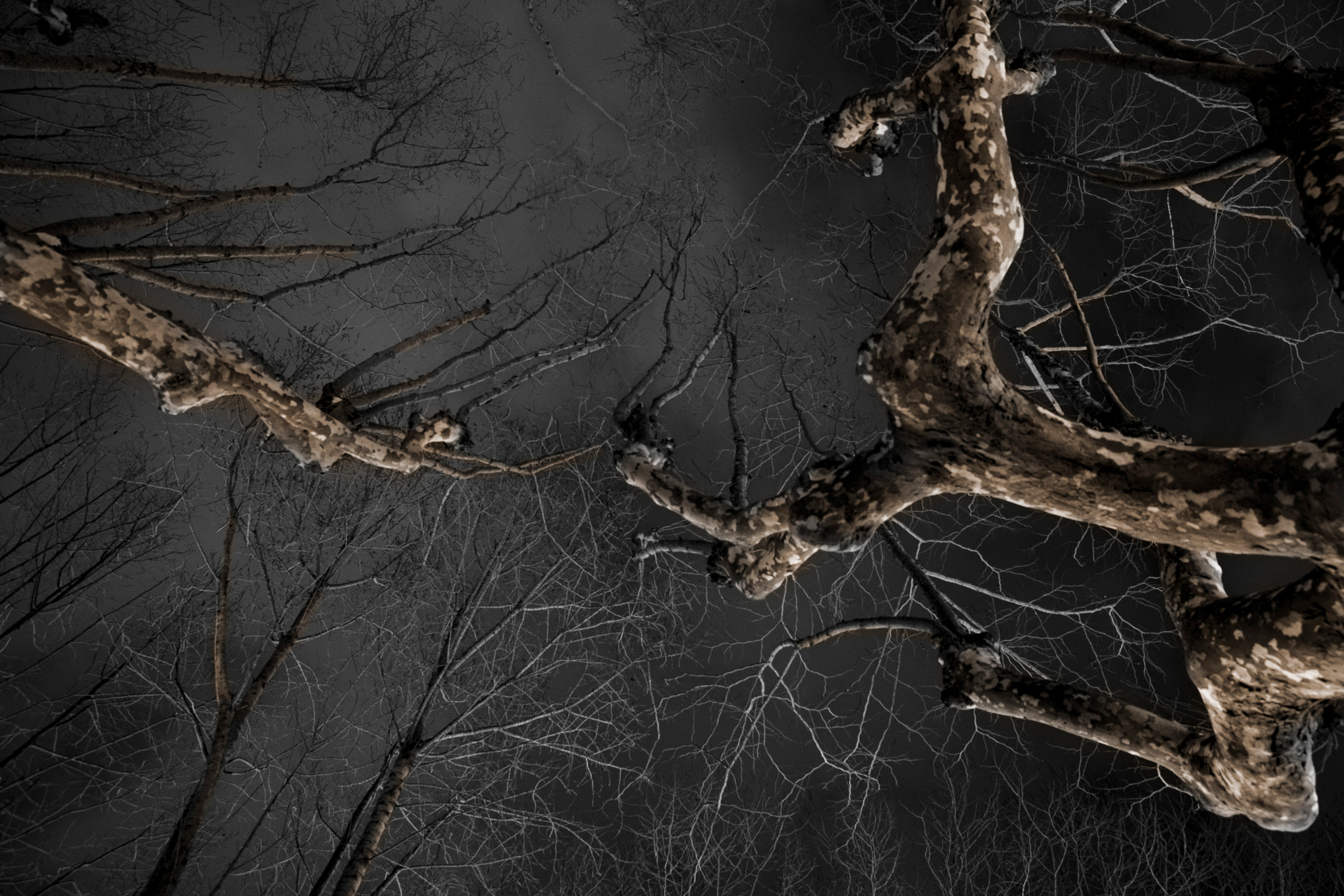 MOTHER (in progress). Anastasiia Antoniuk portrait, family and couple photographer, Portugal