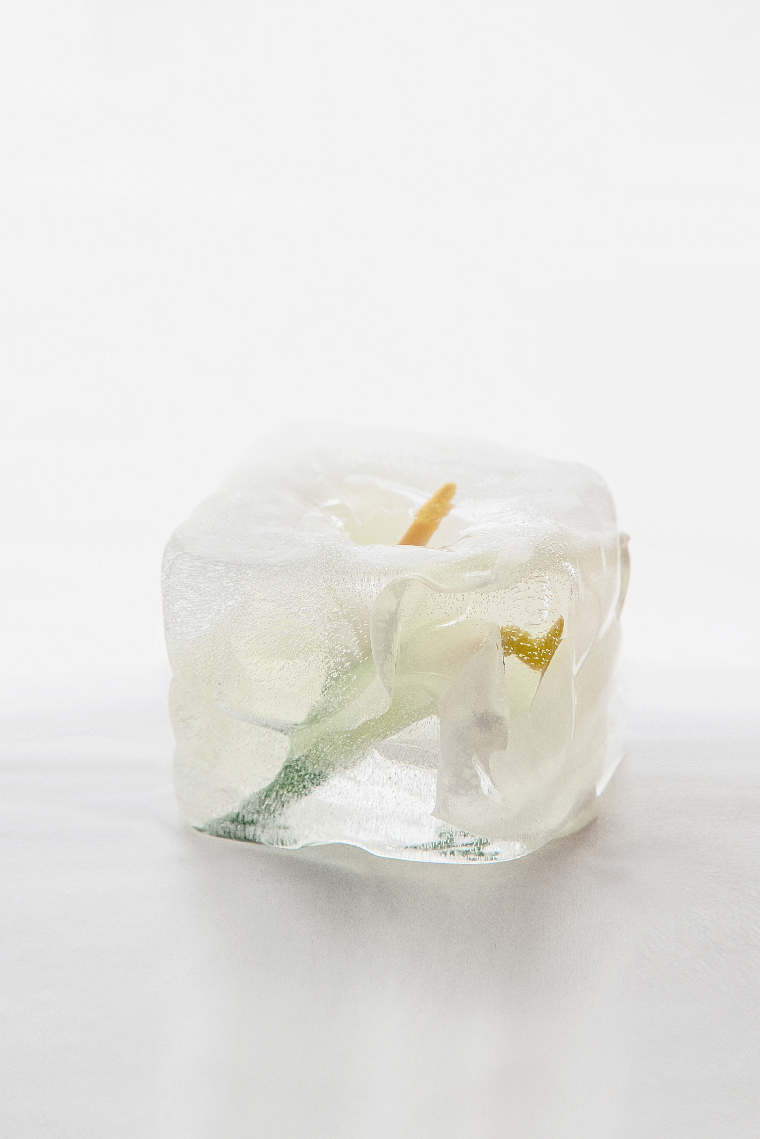 RECONSTRUCTION. Anastasiia Antoniuk portrait, family and couple photographer, Portugal