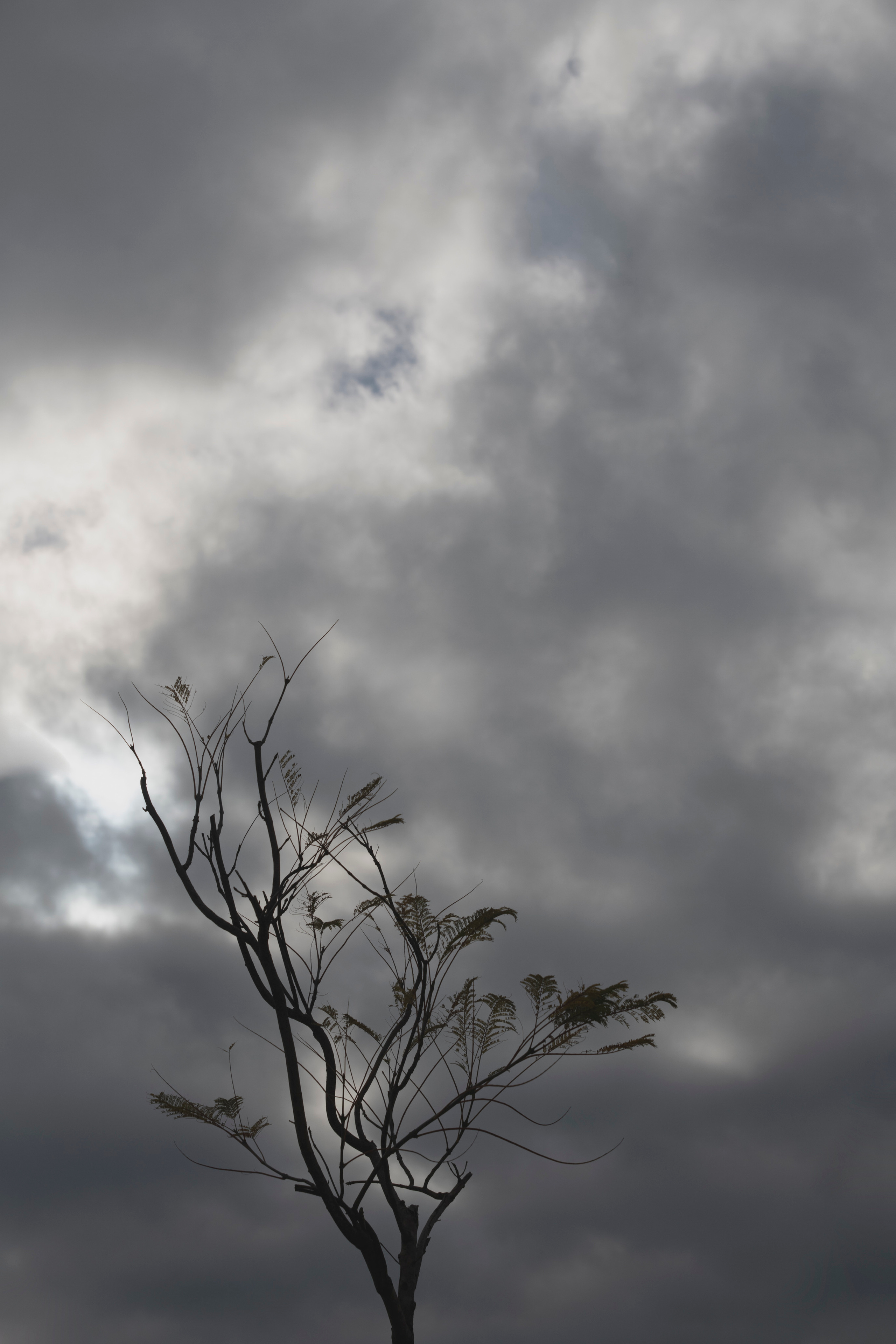MOTHER (in progress). Anastasiia Antoniuk portrait, family and couple photographer, Portugal