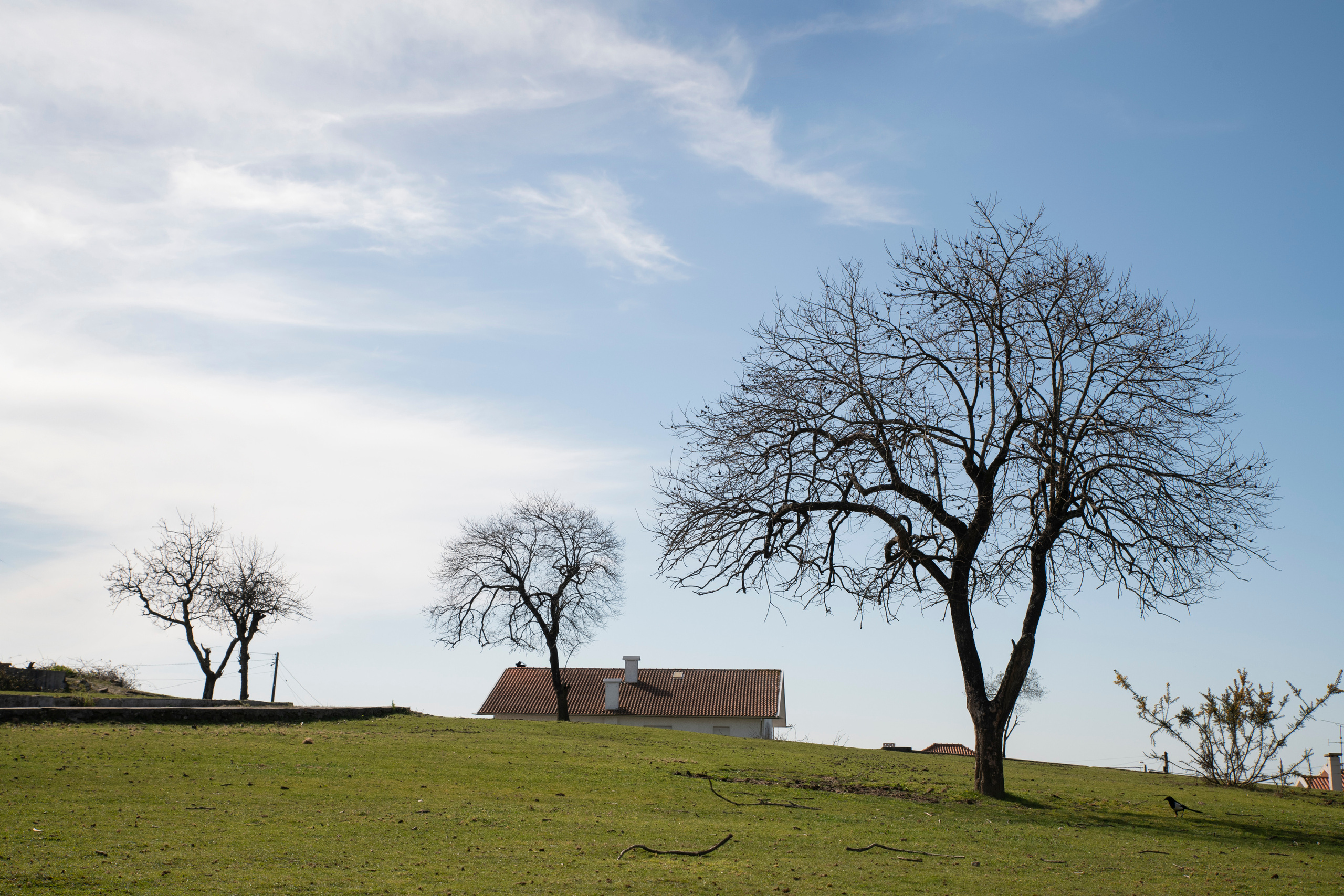 MOTHER (in progress). Anastasiia Antoniuk portrait, family and couple photographer, Portugal