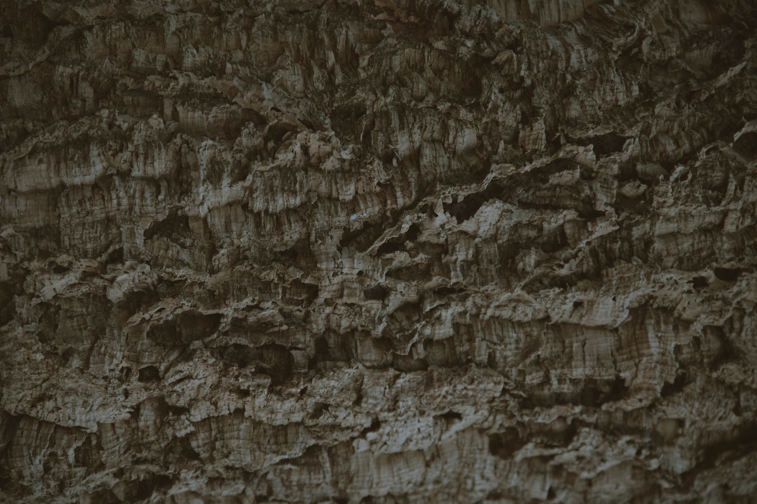 RECONSTRUCTION. Anastasiia Antoniuk portrait, family and couple photographer, Portugal