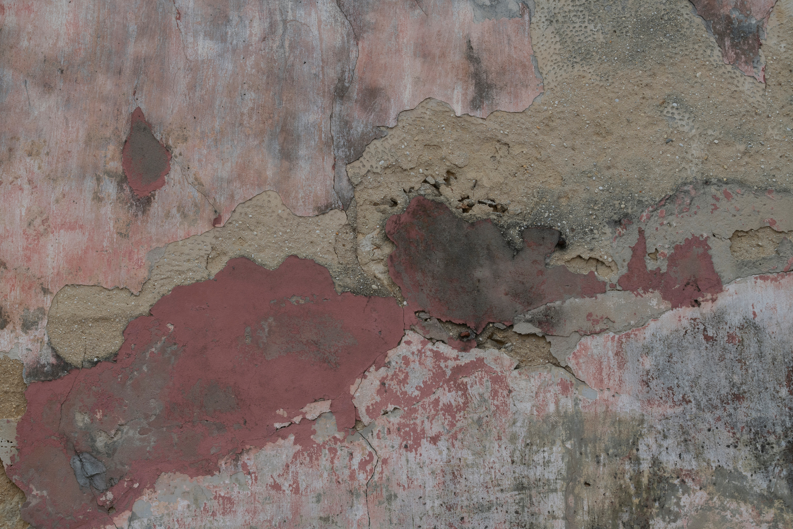 MOTHER (in progress). Anastasiia Antoniuk portrait, family and couple photographer, Portugal