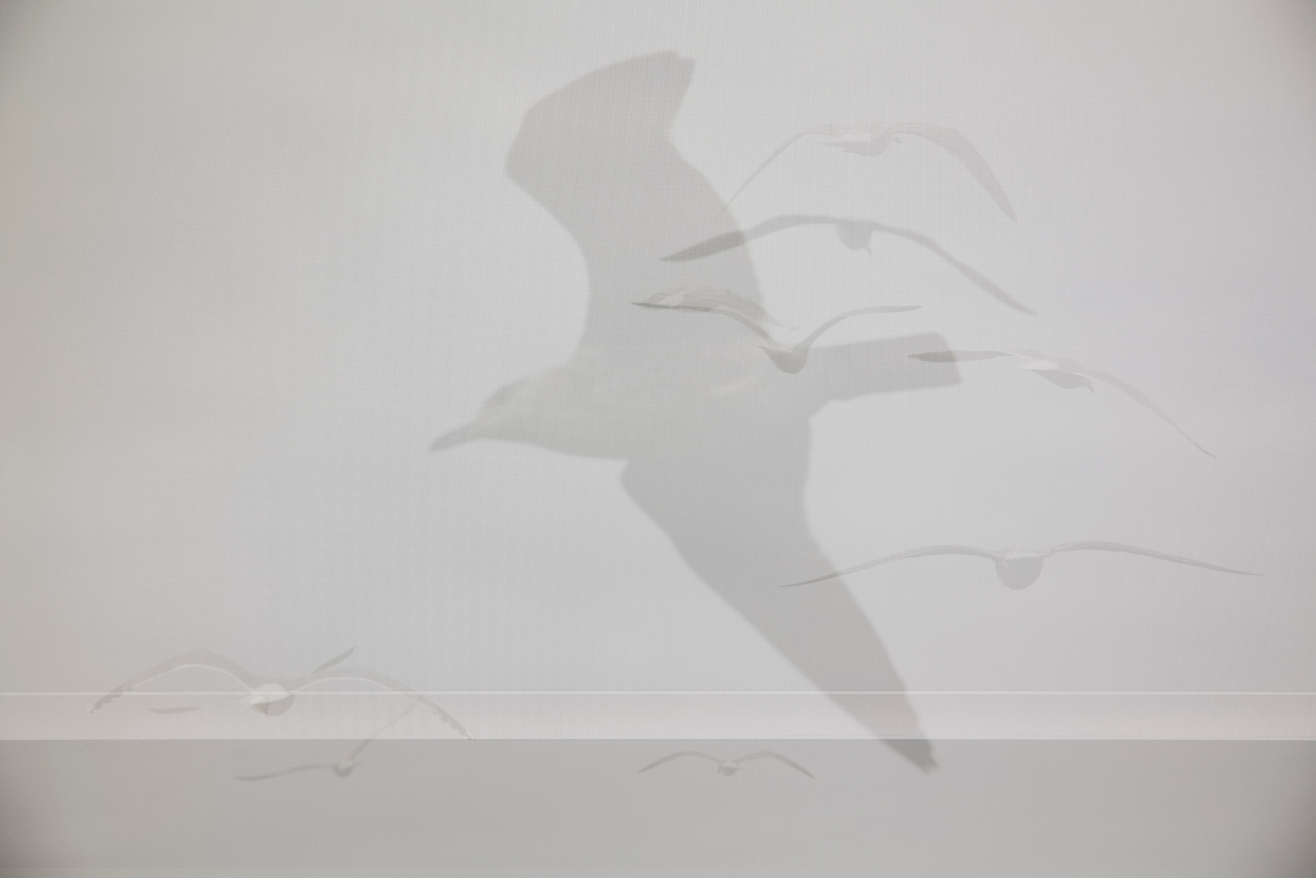 MOTHER (in progress). Anastasiia Antoniuk portrait, family and couple photographer, Portugal