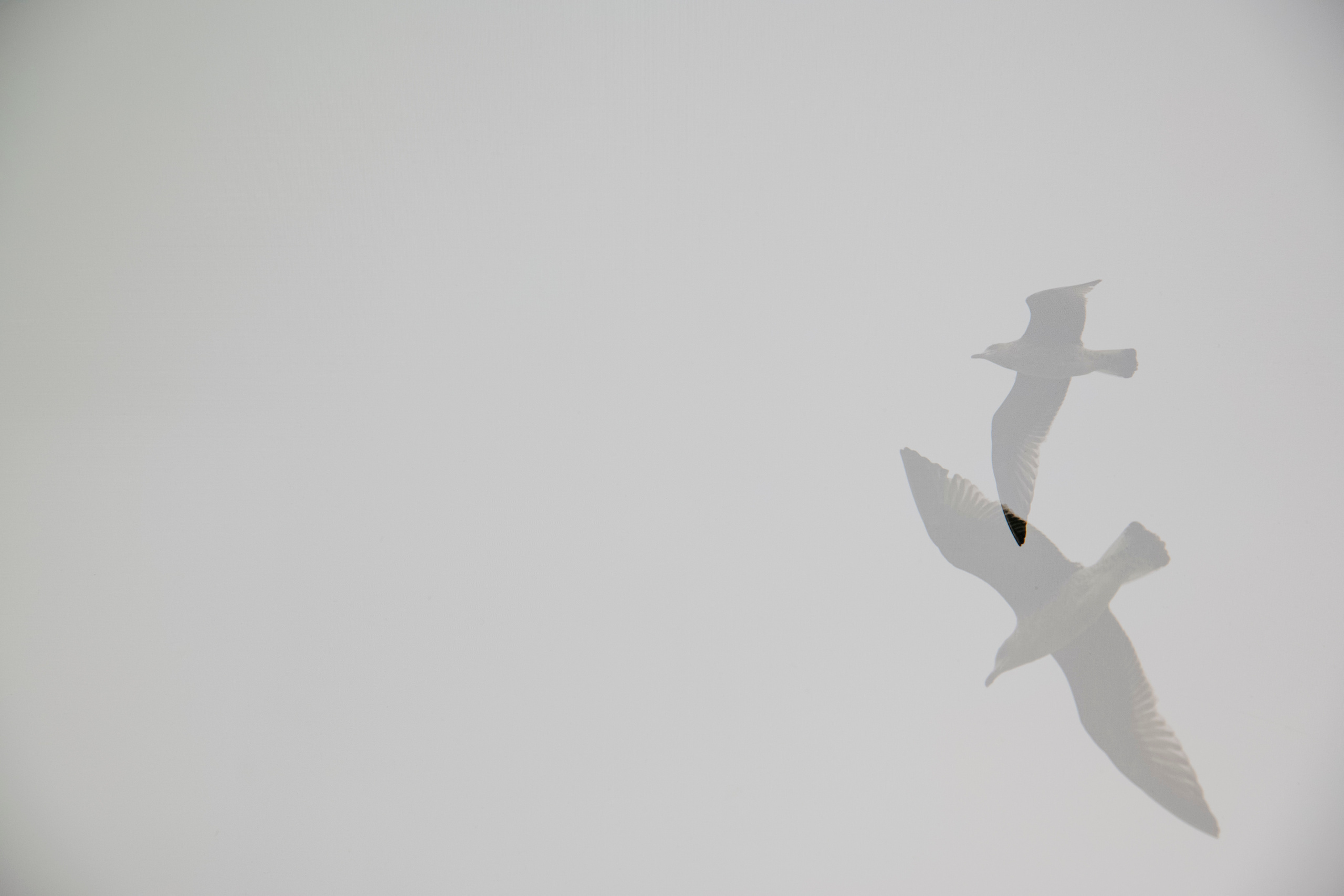 MOTHER (in progress). Anastasiia Antoniuk portrait, family and couple photographer, Portugal