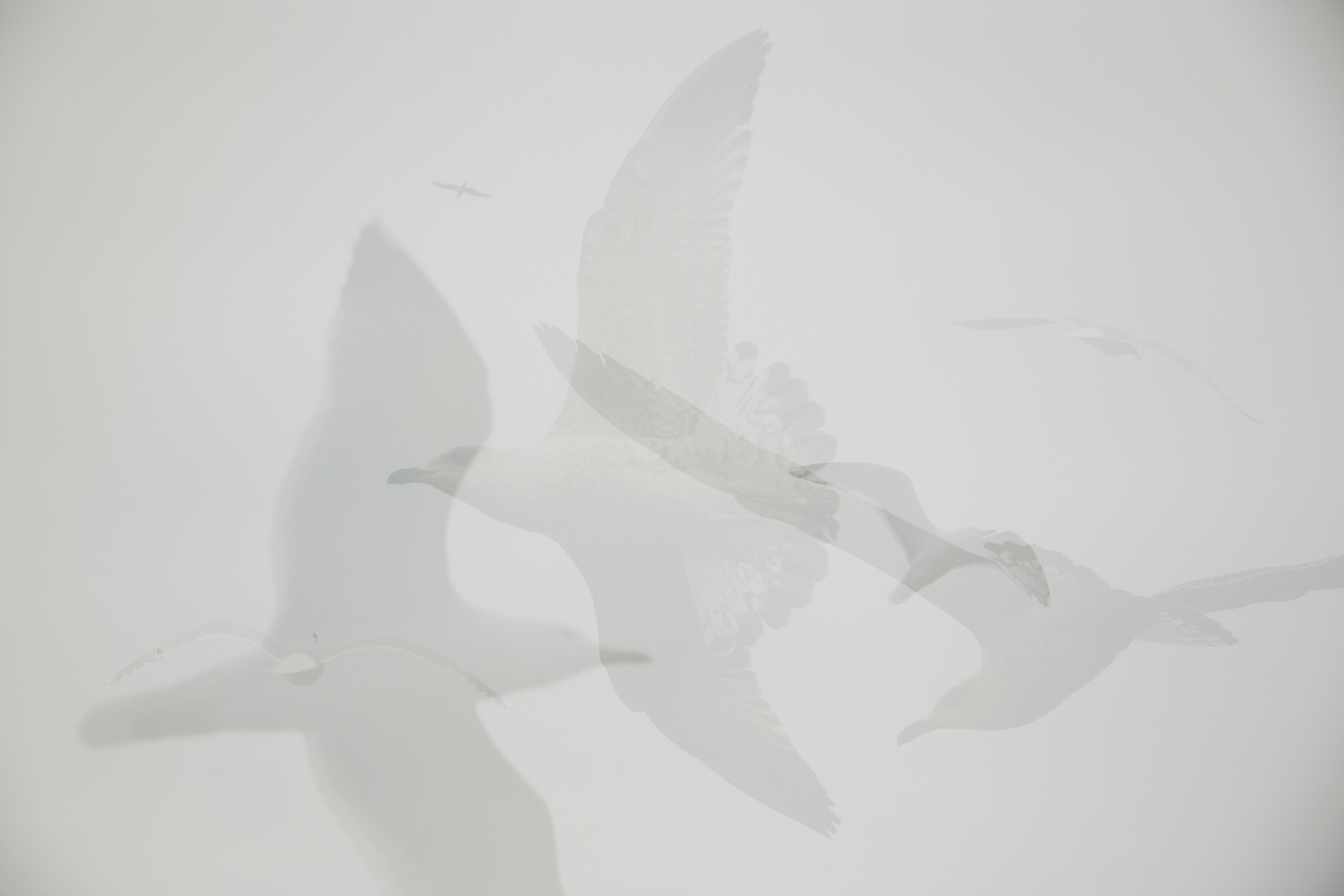 MOTHER (in progress). Anastasiia Antoniuk portrait, family and couple photographer, Portugal