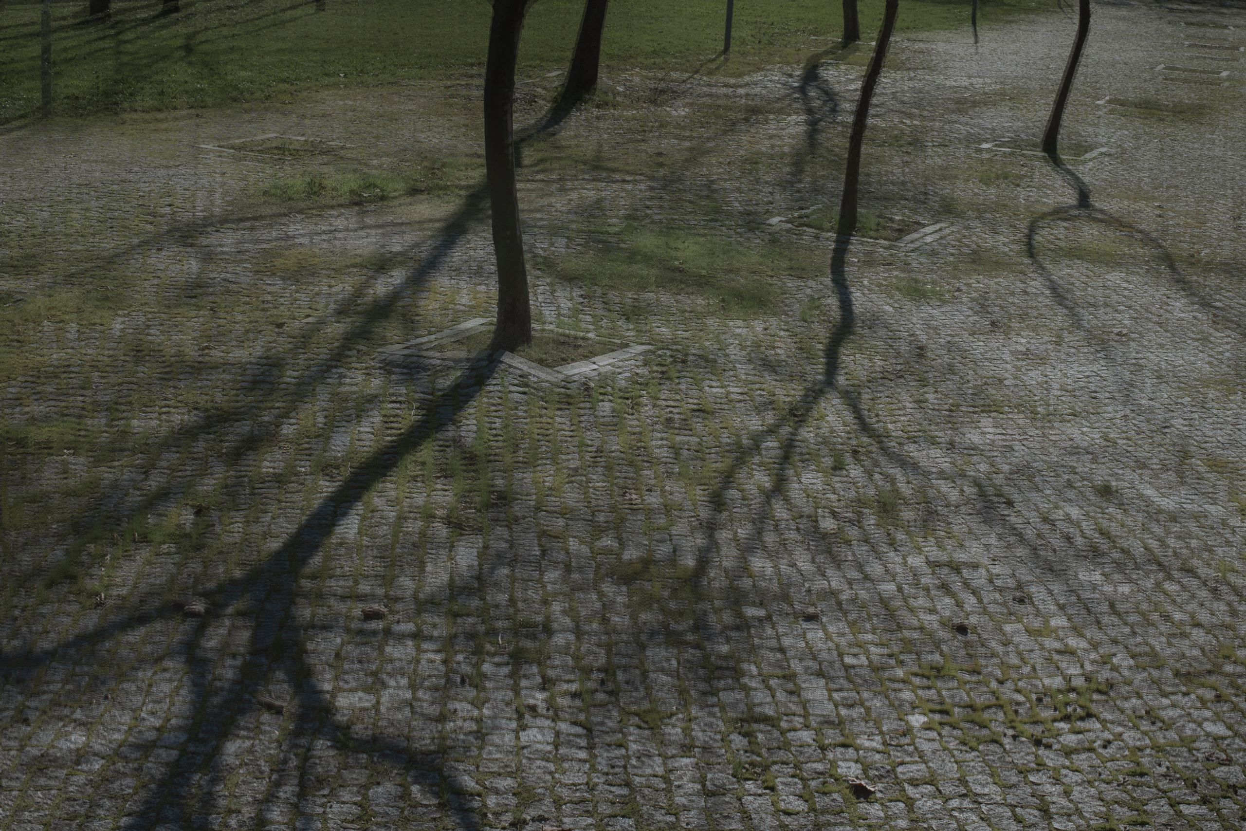 MOTHER (in progress). Anastasiia Antoniuk portrait, family and couple photographer, Portugal