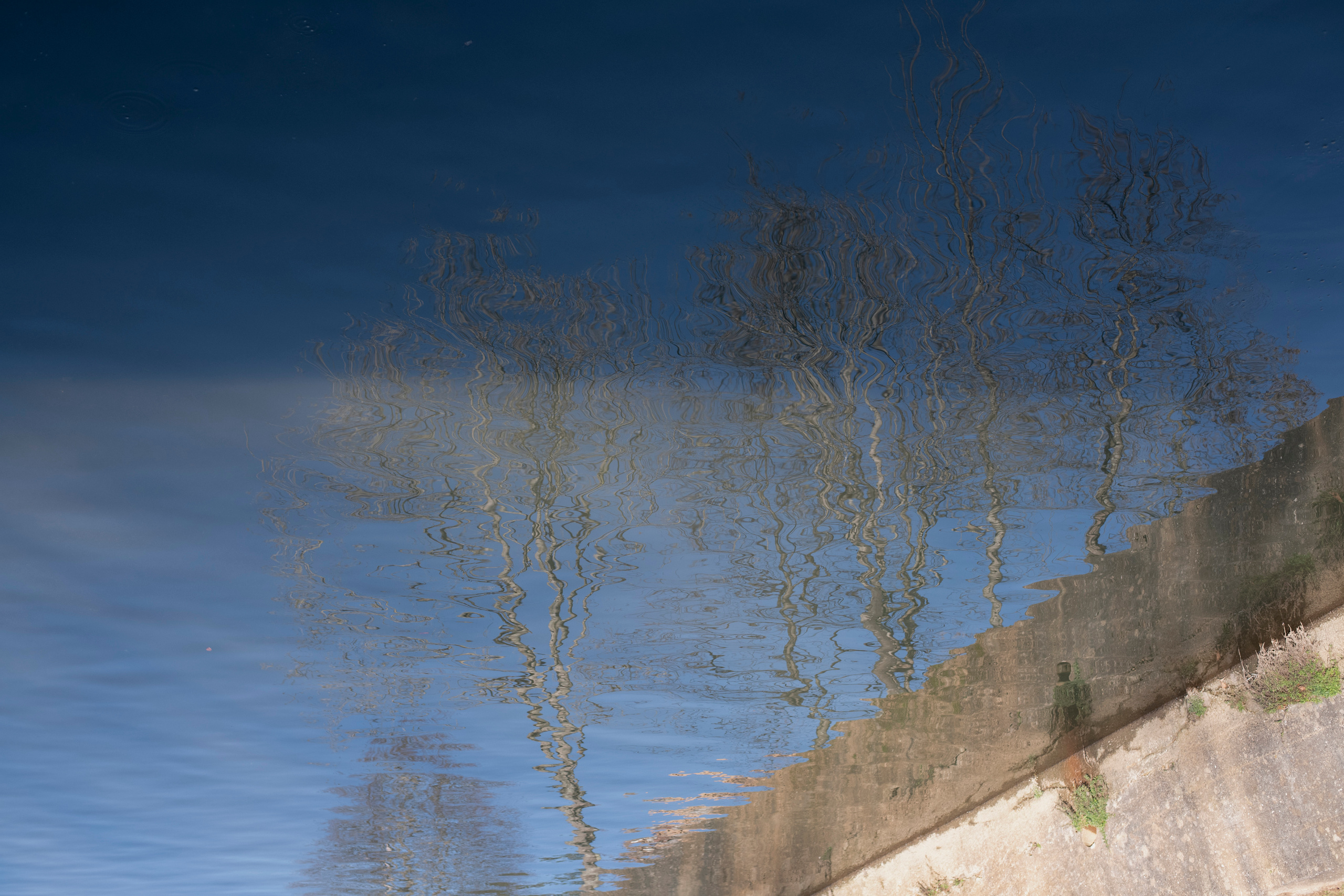 MOTHER (in progress). Anastasiia Antoniuk portrait, family and couple photographer, Portugal