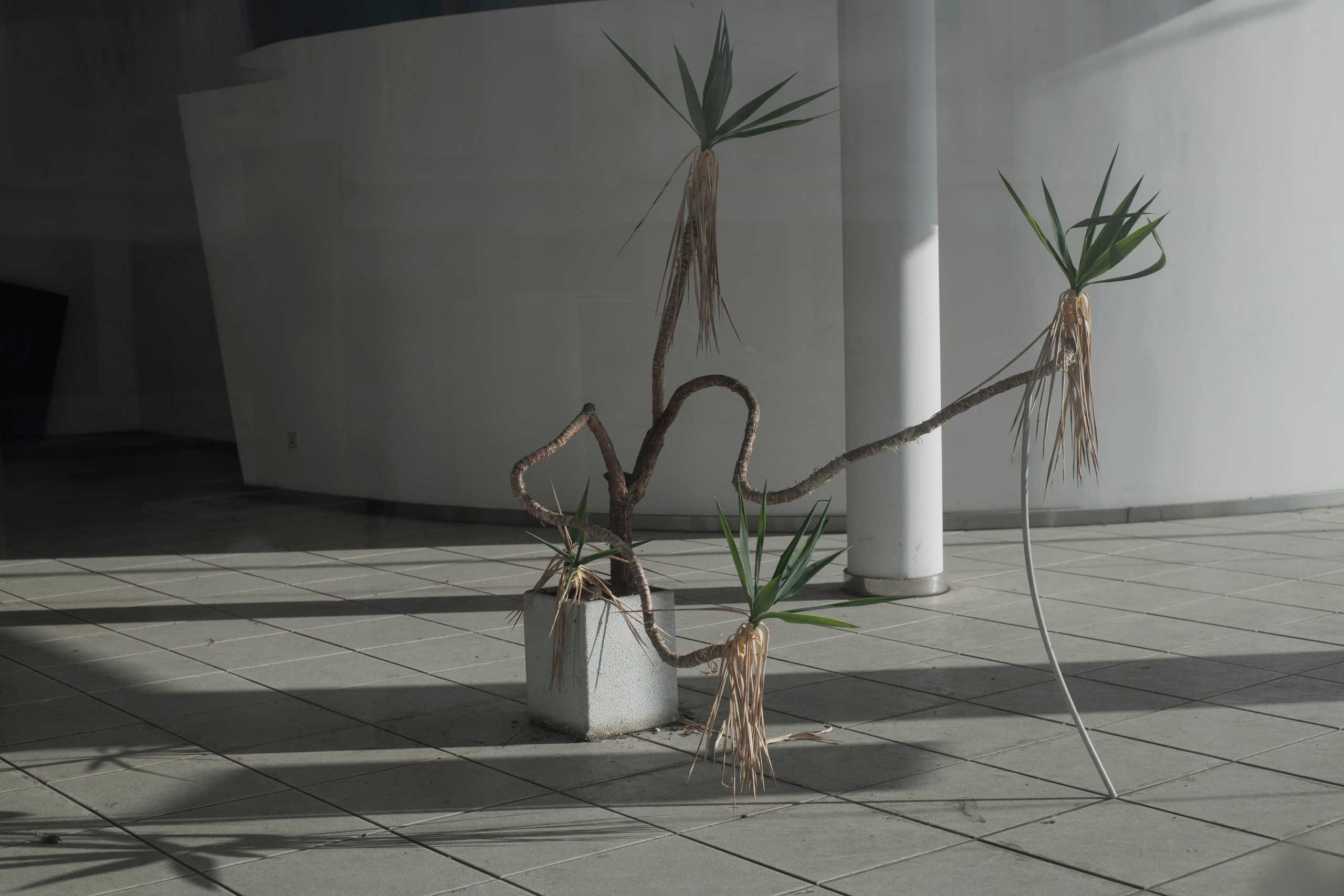 RECONSTRUCTION. Anastasiia Antoniuk portrait, family and couple photographer, Portugal