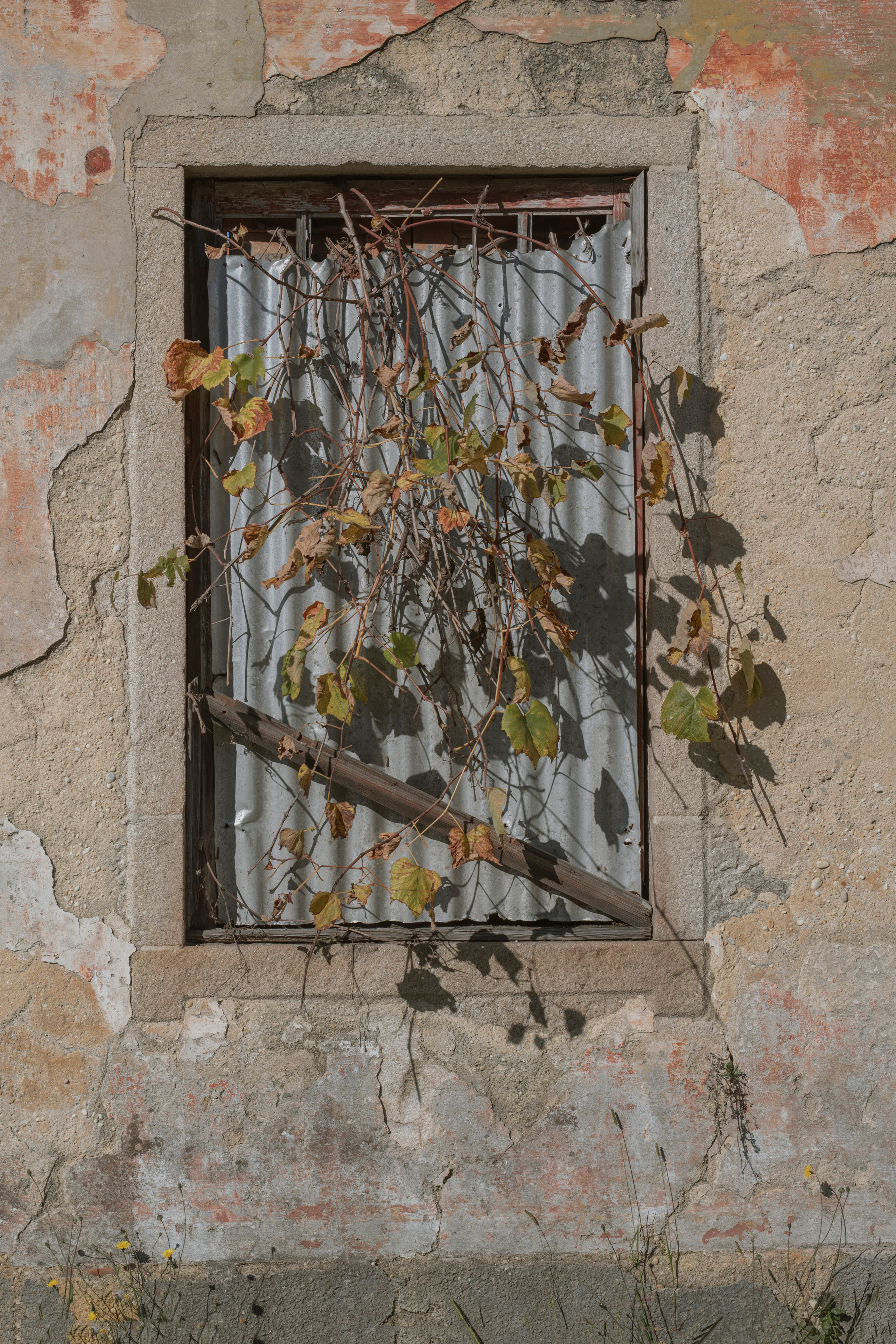MOTHER (in progress). Anastasiia Antoniuk portrait, family and couple photographer, Portugal