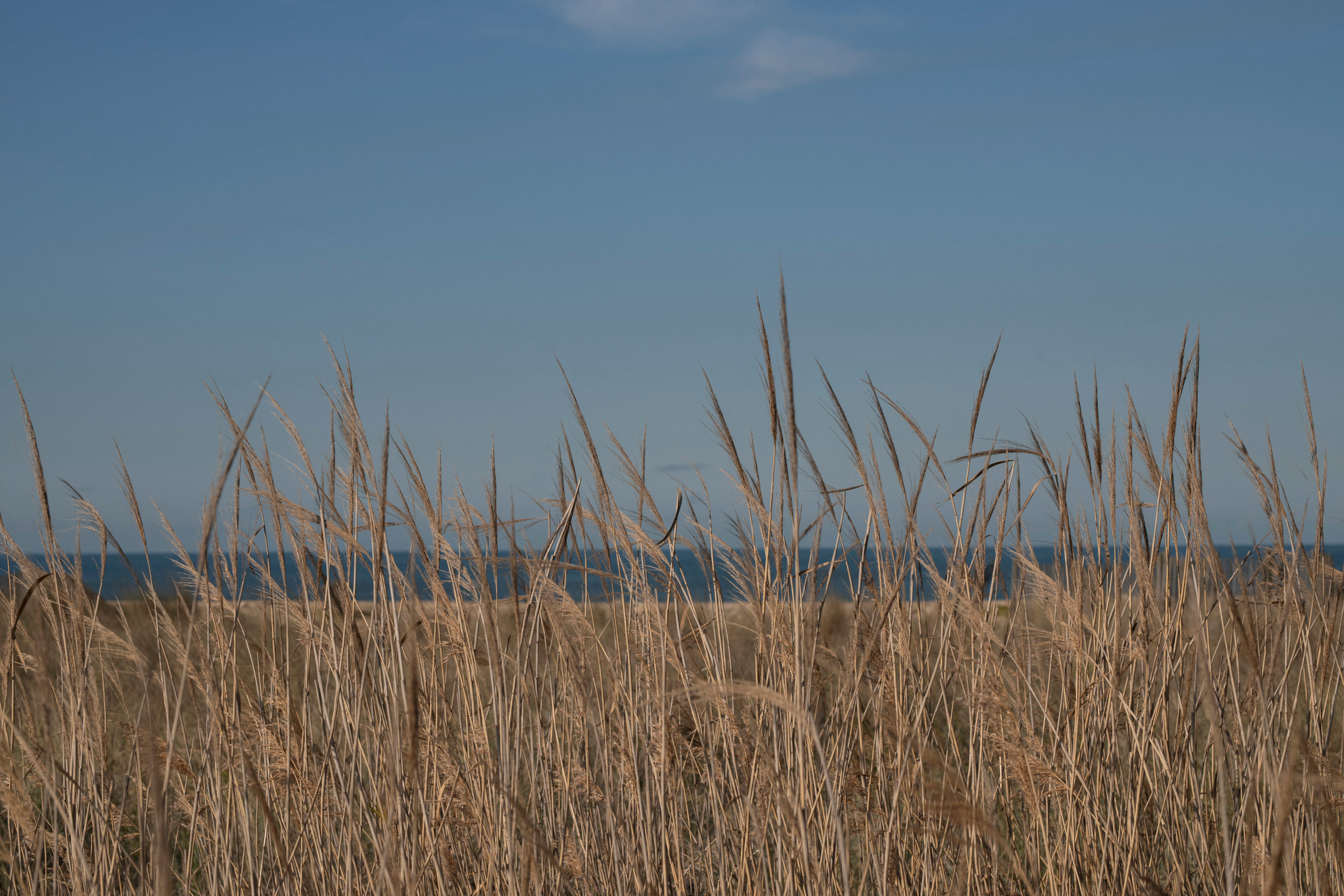 MOTHER (in progress). Anastasiia Antoniuk portrait, family and couple photographer, Portugal