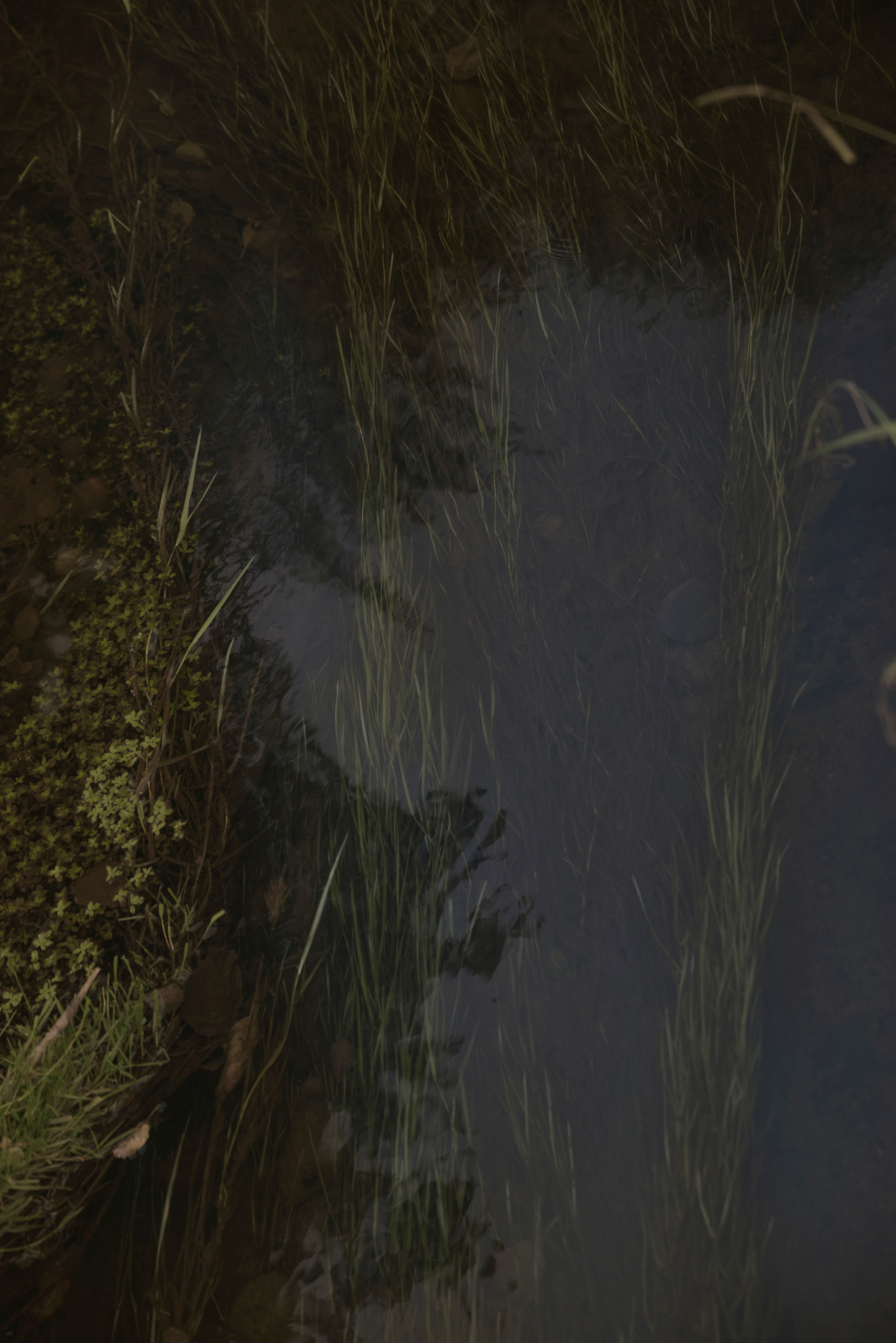 MOTHER (in progress). Anastasiia Antoniuk portrait, family and couple photographer, Portugal