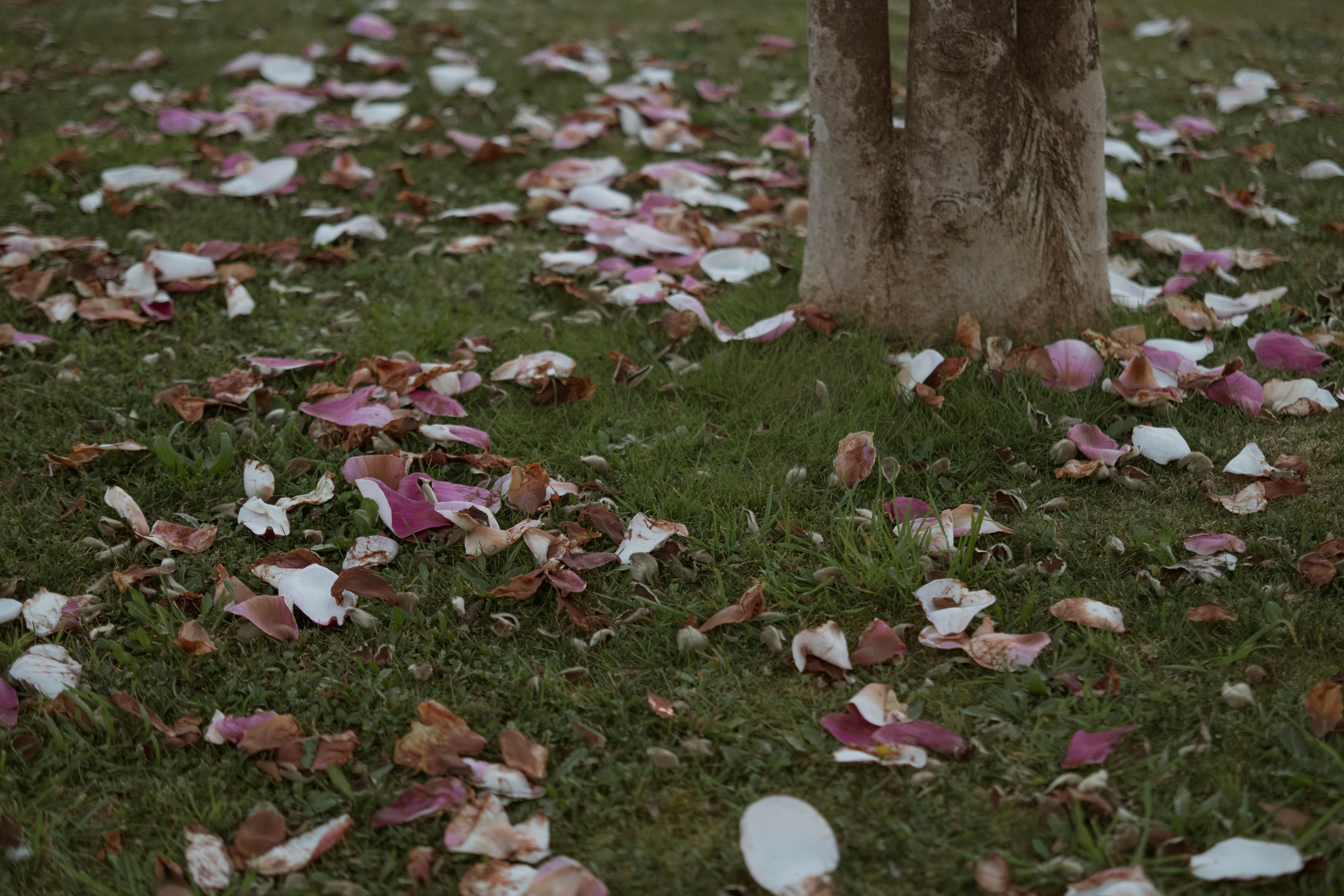 MOTHER (in progress). Anastasiia Antoniuk portrait, family and couple photographer, Portugal