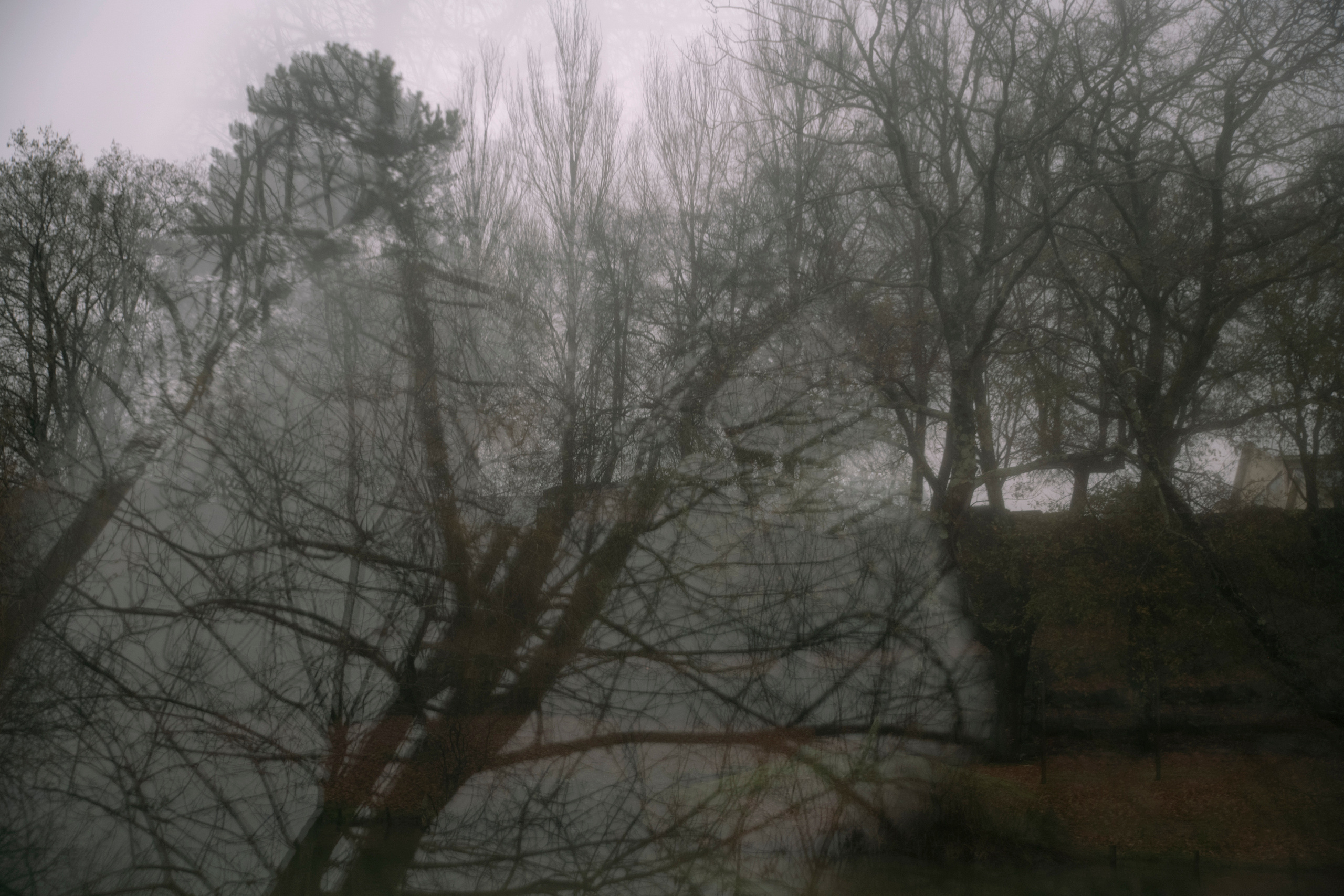 MOTHER (in progress). Anastasiia Antoniuk portrait, family and couple photographer, Portugal