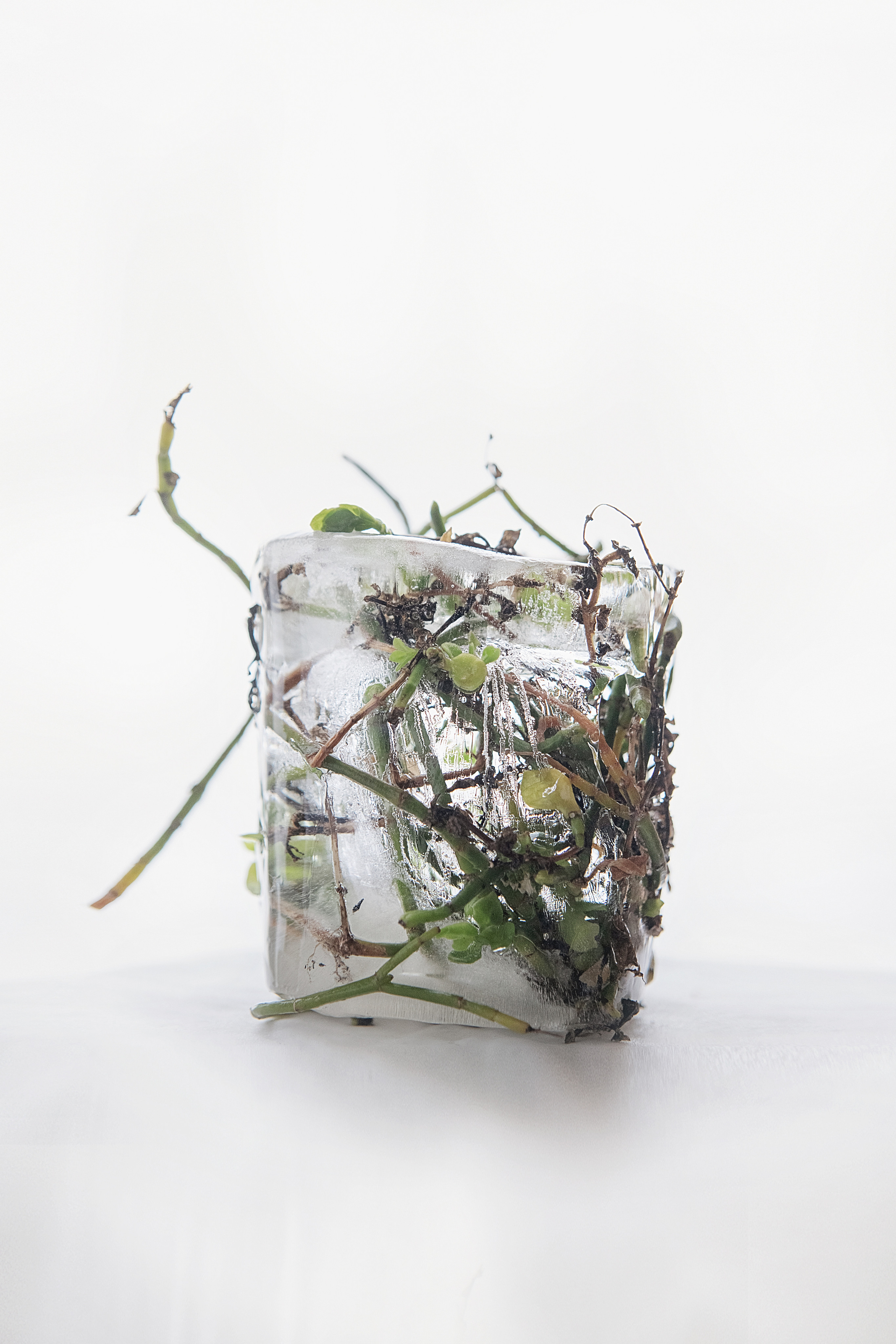 RECONSTRUCTION. Anastasiia Antoniuk portrait, family and couple photographer, Portugal