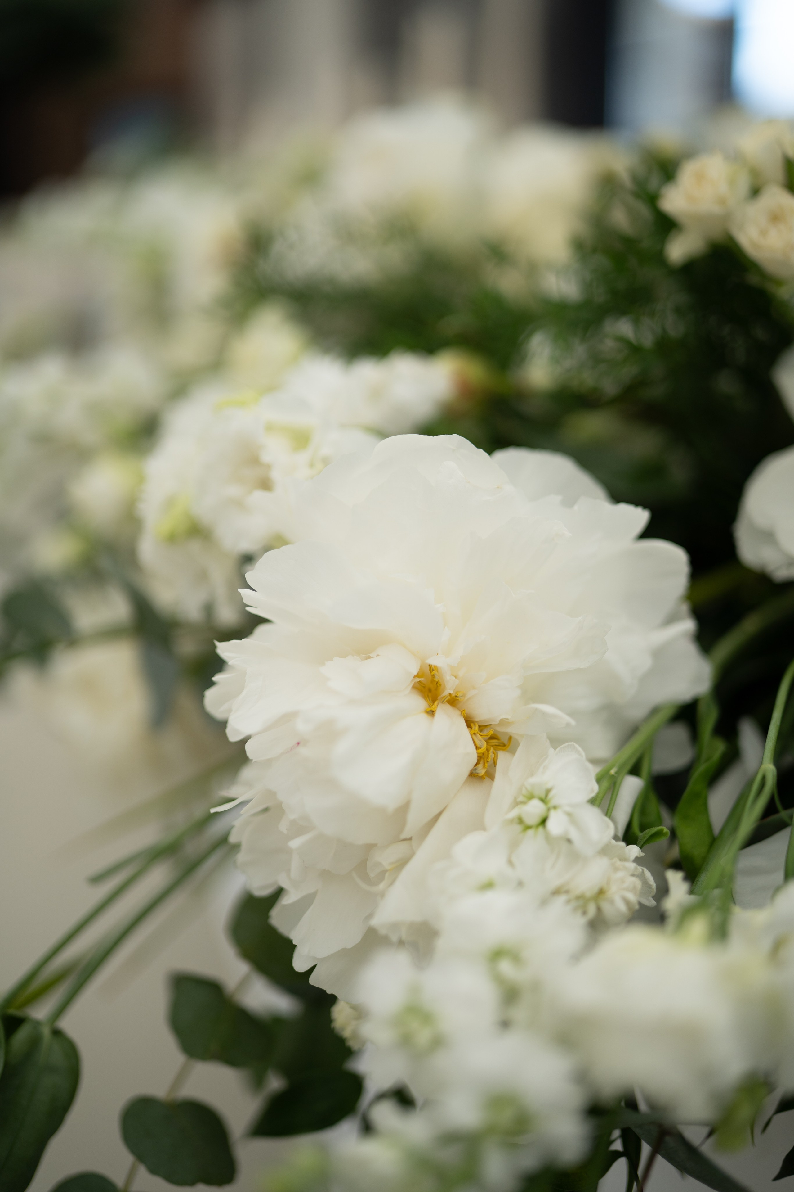 Victoria & Cristian | Wedding at Province Timisoara. Wedding photographer and videographer based in Timisoara, Romania