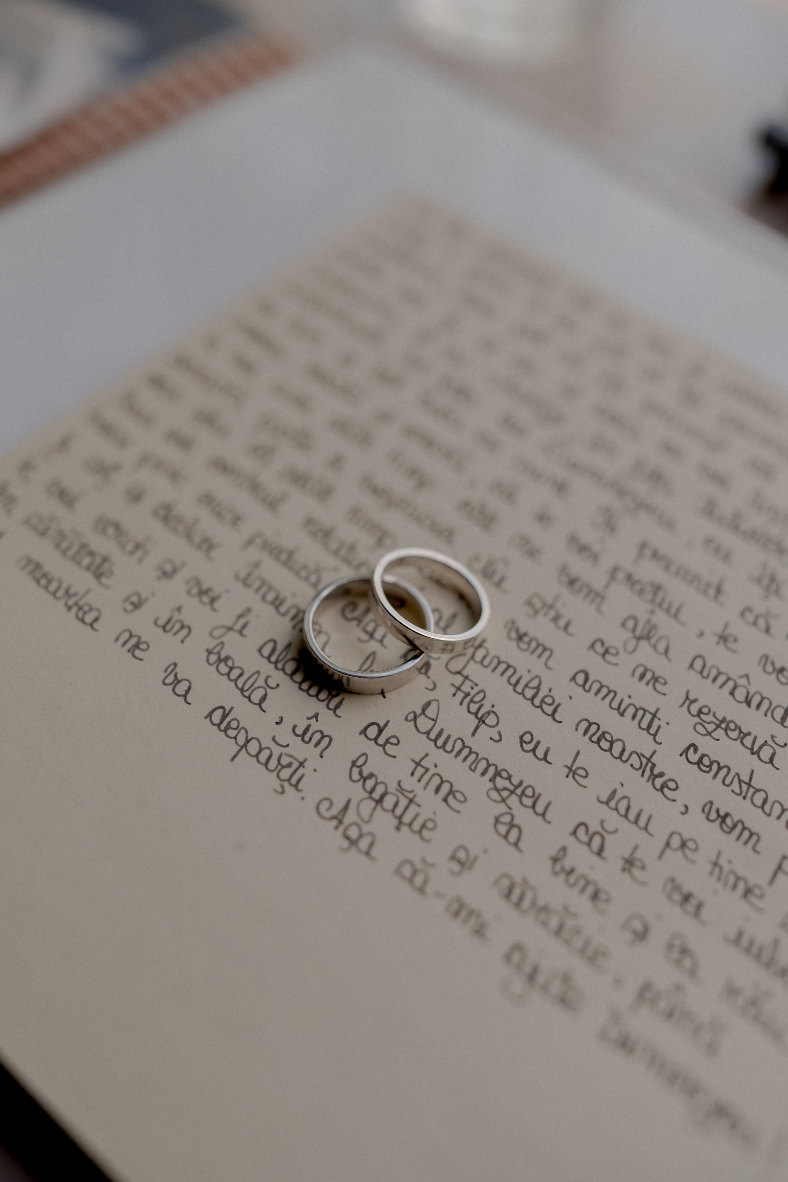 Wedding at Province 1965 Barn in Timisoara. Wedding photographer and videographer based in Timisoara, Romania