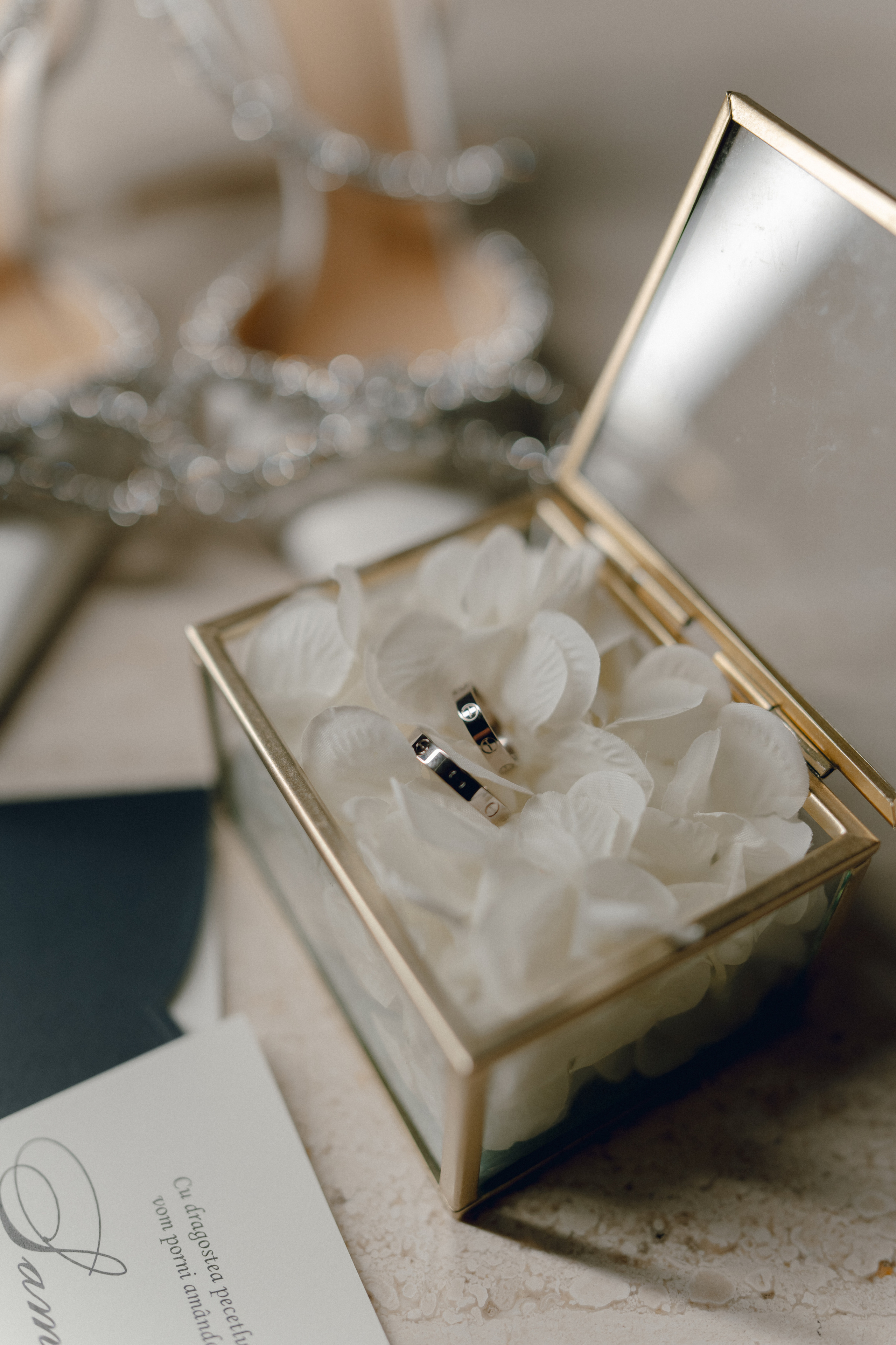 Luxury elegant wedding in Timisoara. Wedding photographer and videographer based in Timisoara, Romania