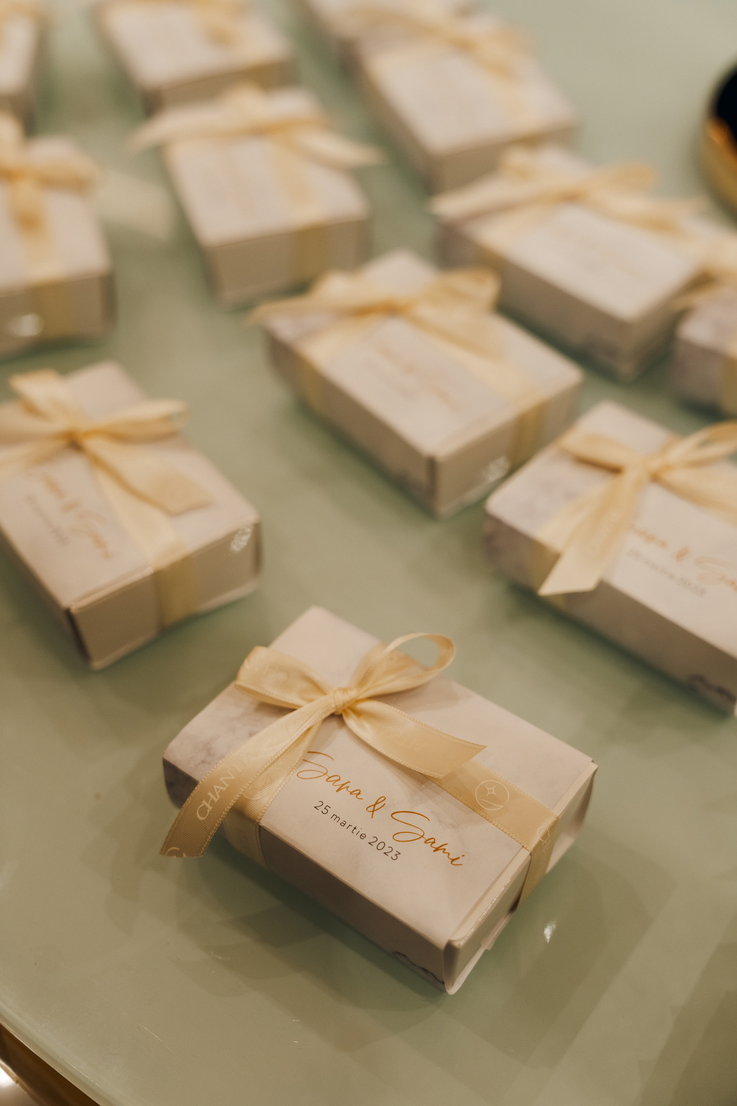 Luxury elegant wedding in Timisoara. Wedding photographer and videographer based in Timisoara, Romania