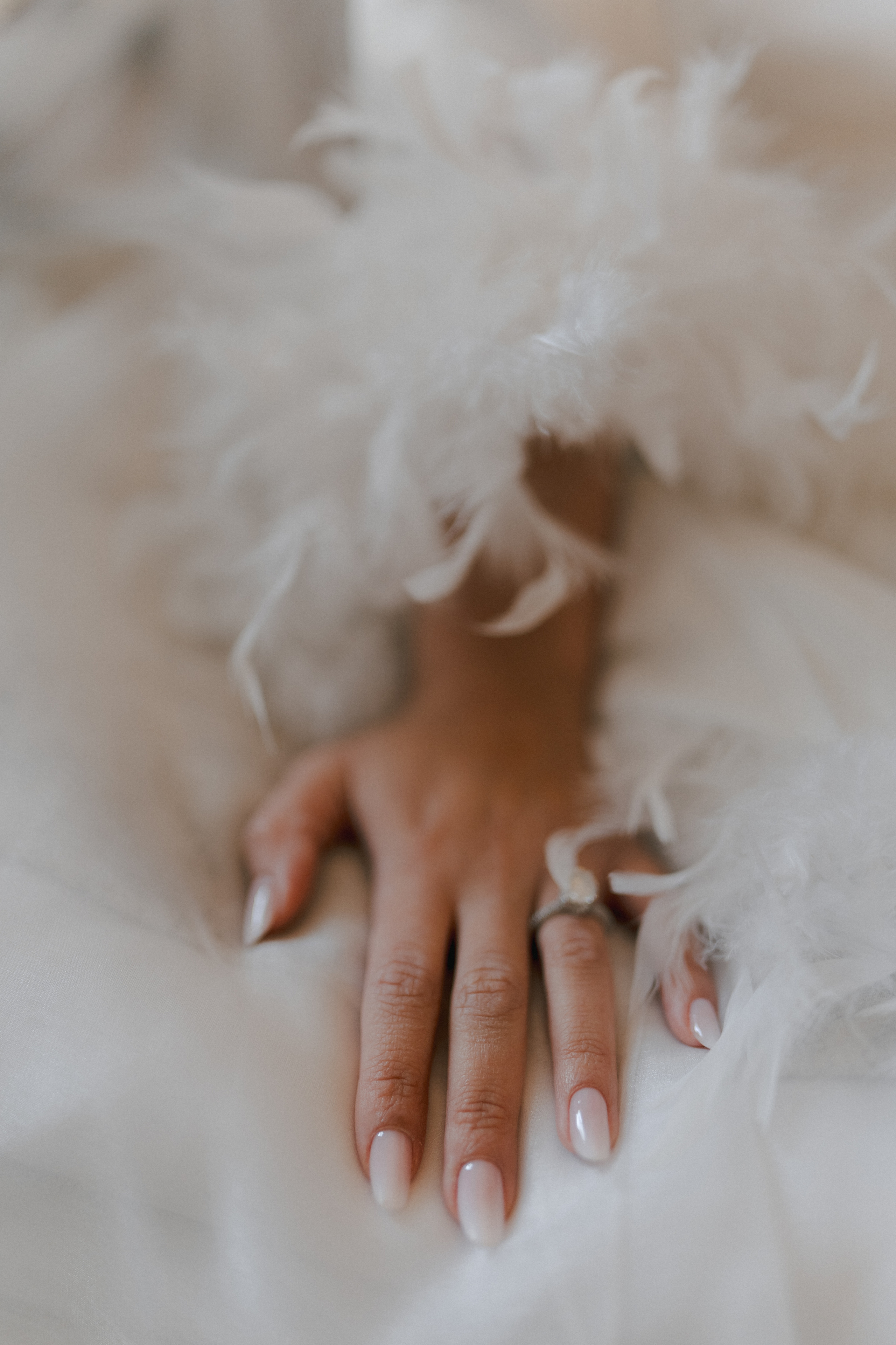 Luxury elegant wedding in Timisoara. Wedding photographer and videographer based in Timisoara, Romania