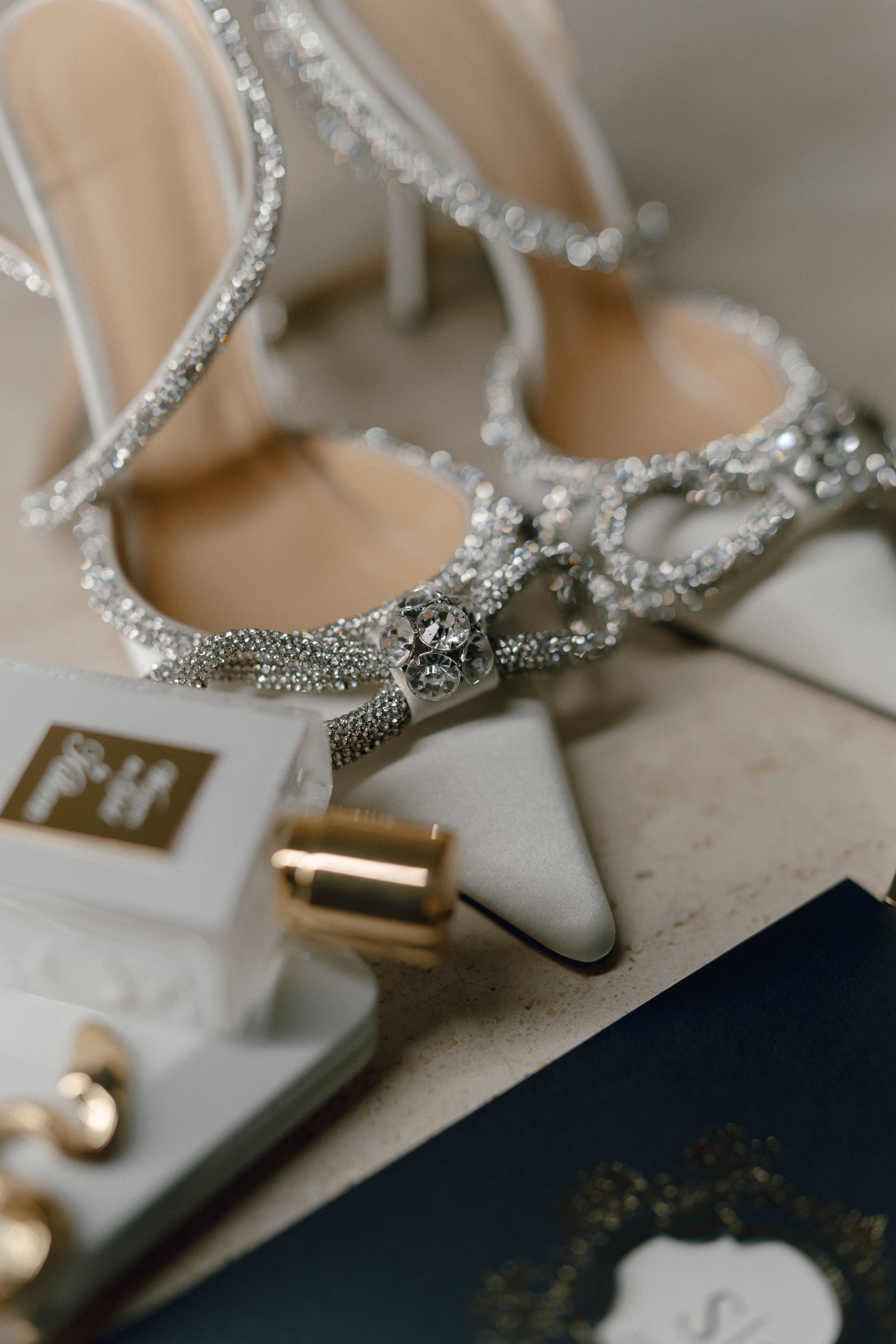 Luxury elegant wedding in Timisoara. Wedding photographer and videographer based in Timisoara, Romania