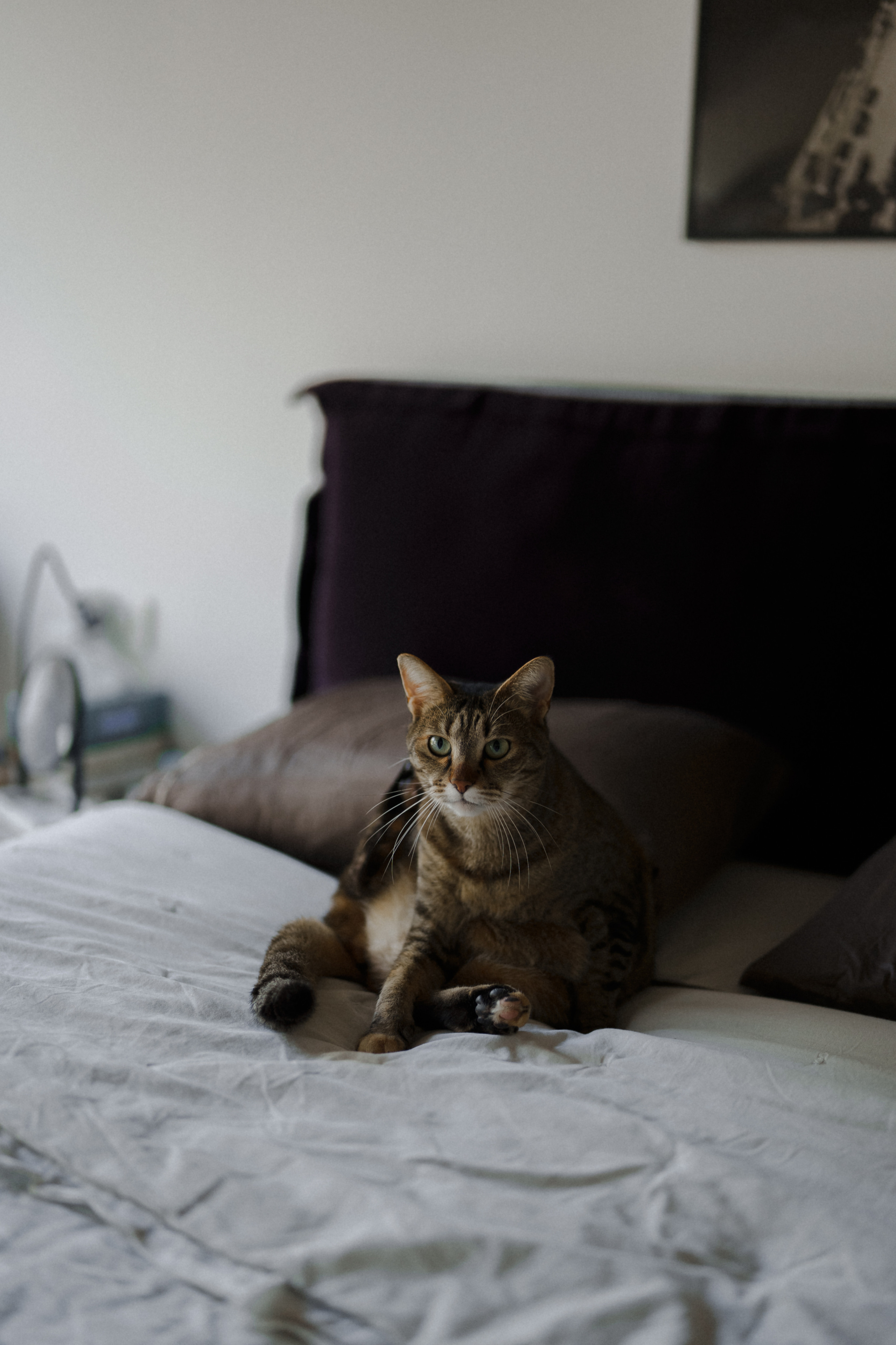 Wedding at Province 1965 Barn in Timisoara. Wedding photographer and videographer based in Timisoara, Romania