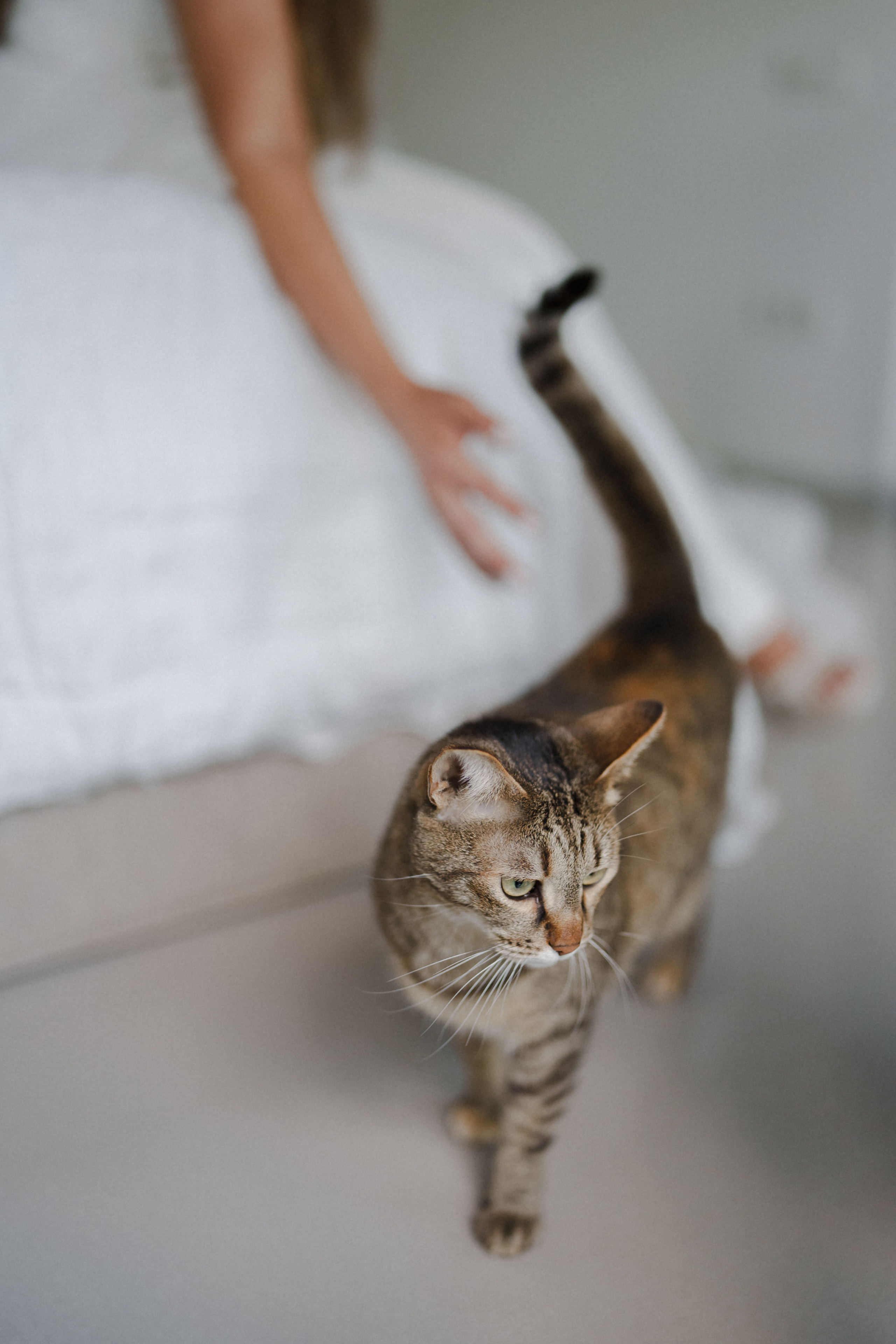 Wedding at Province 1965 Barn in Timisoara. Wedding photographer and videographer based in Timisoara, Romania