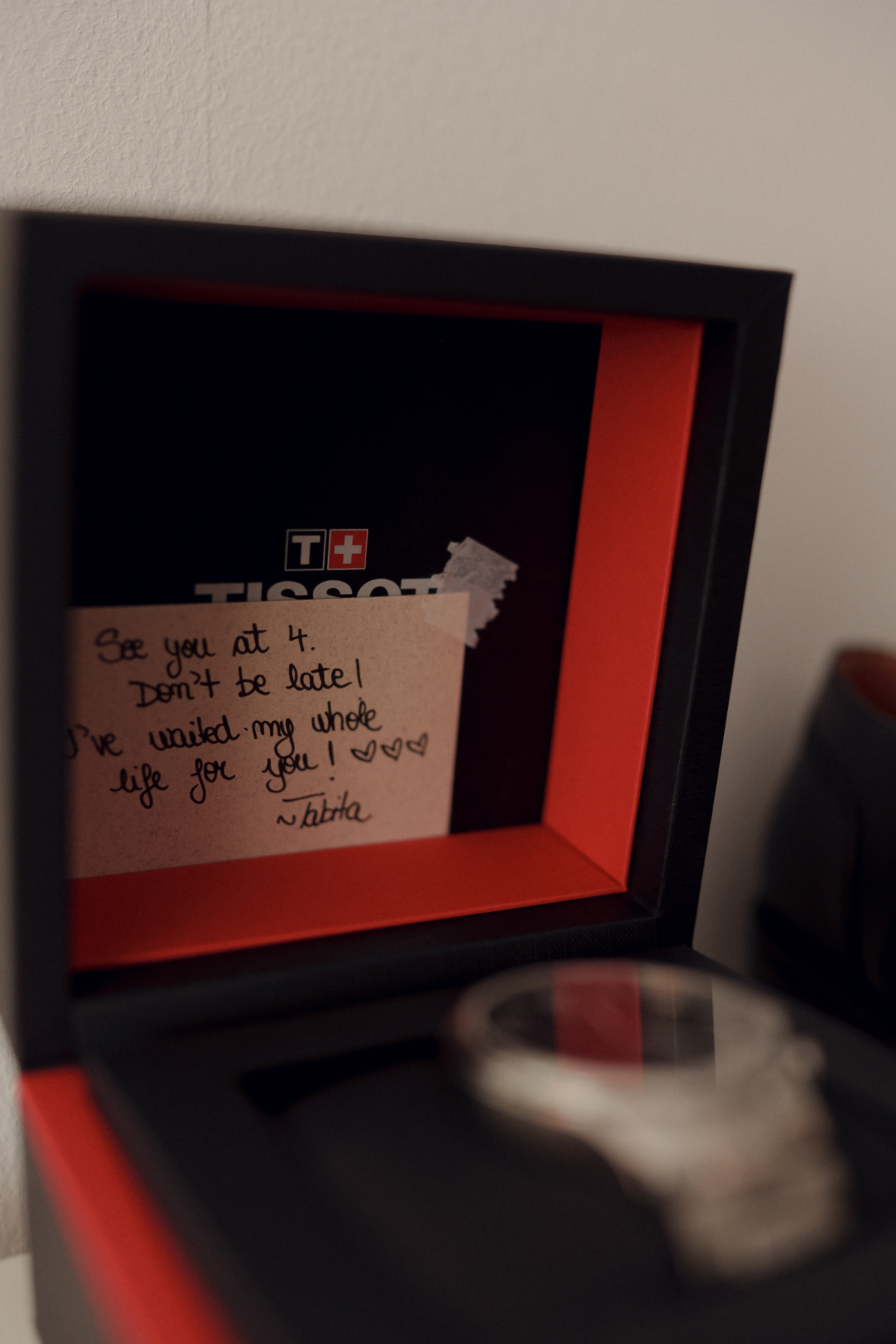 Wedding at Province 1965 Barn in Timisoara. Wedding photographer and videographer based in Timisoara, Romania