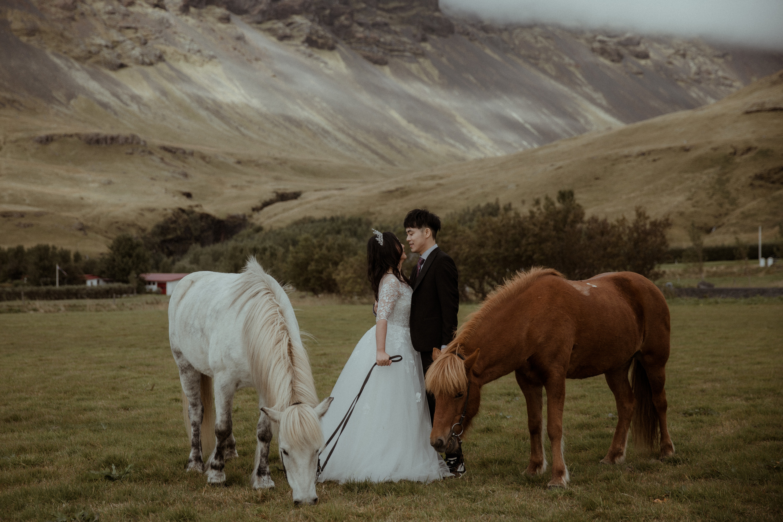 Elopement at Seljalandsfoss waterfall in Iceland. Iceland elopement photographer & videographer