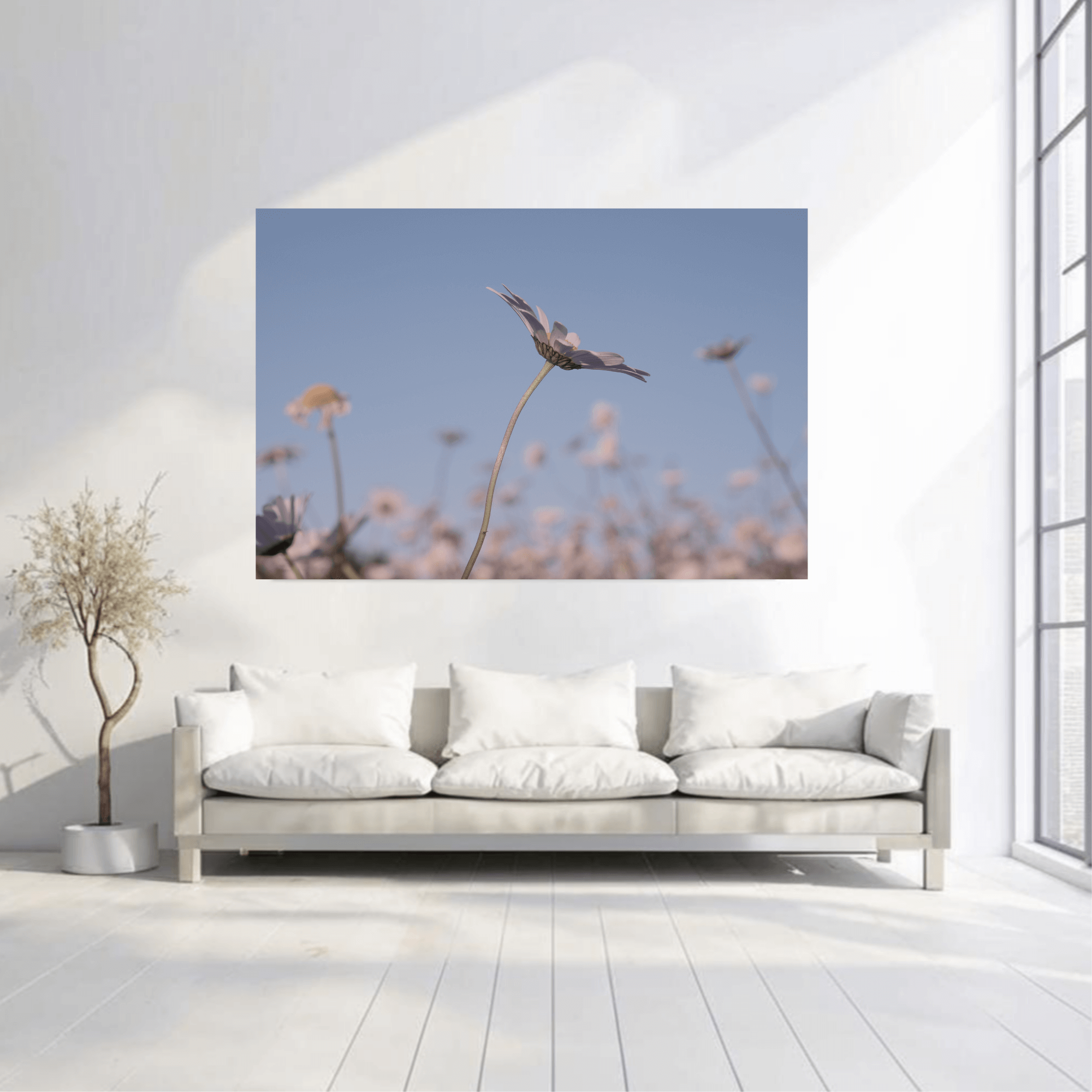 DAISIES. Natalja Poplavska — Visual artist, Photographer, East Sussex, London