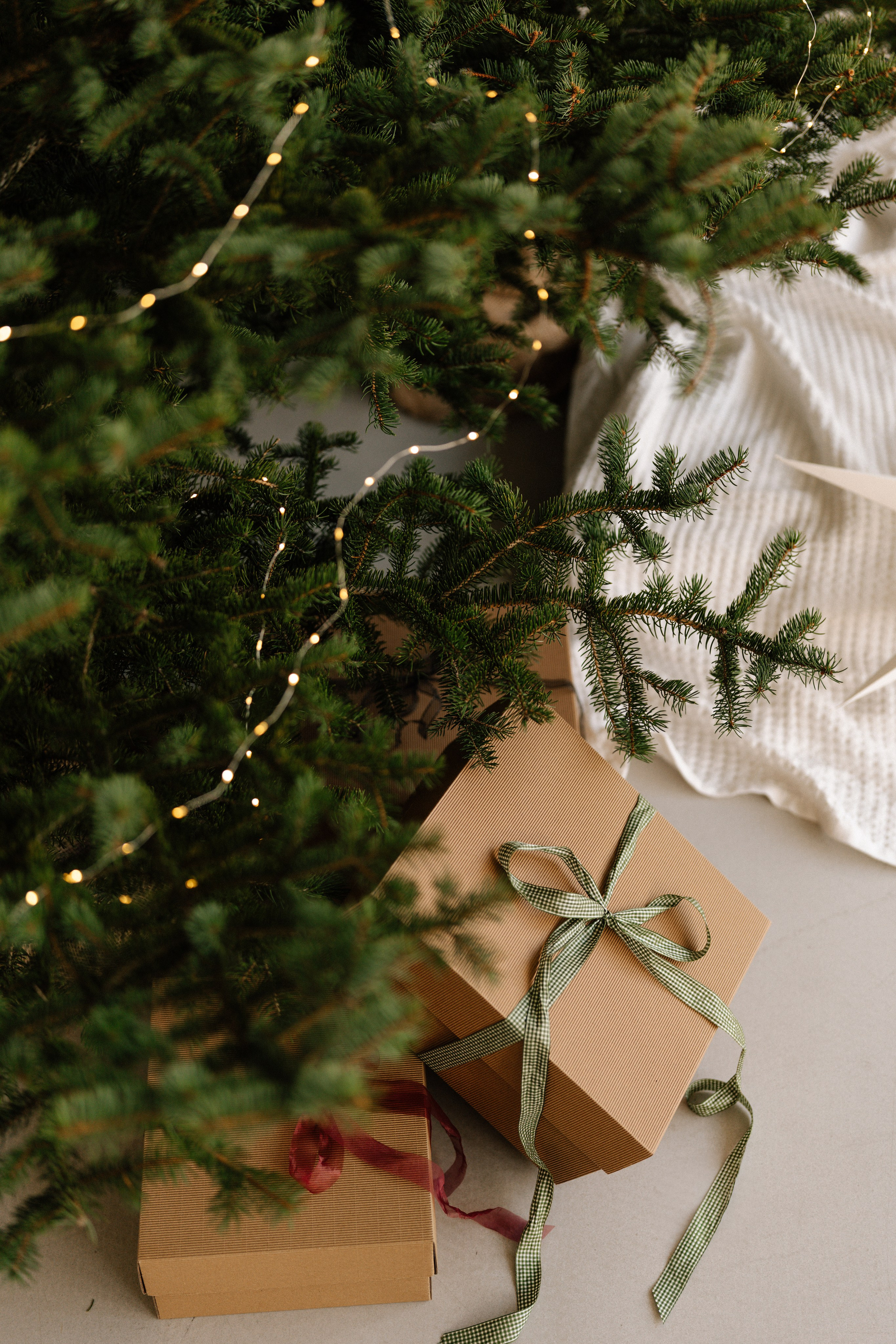 Студії новорічні. Весільний, сімейний фотограф Варшава