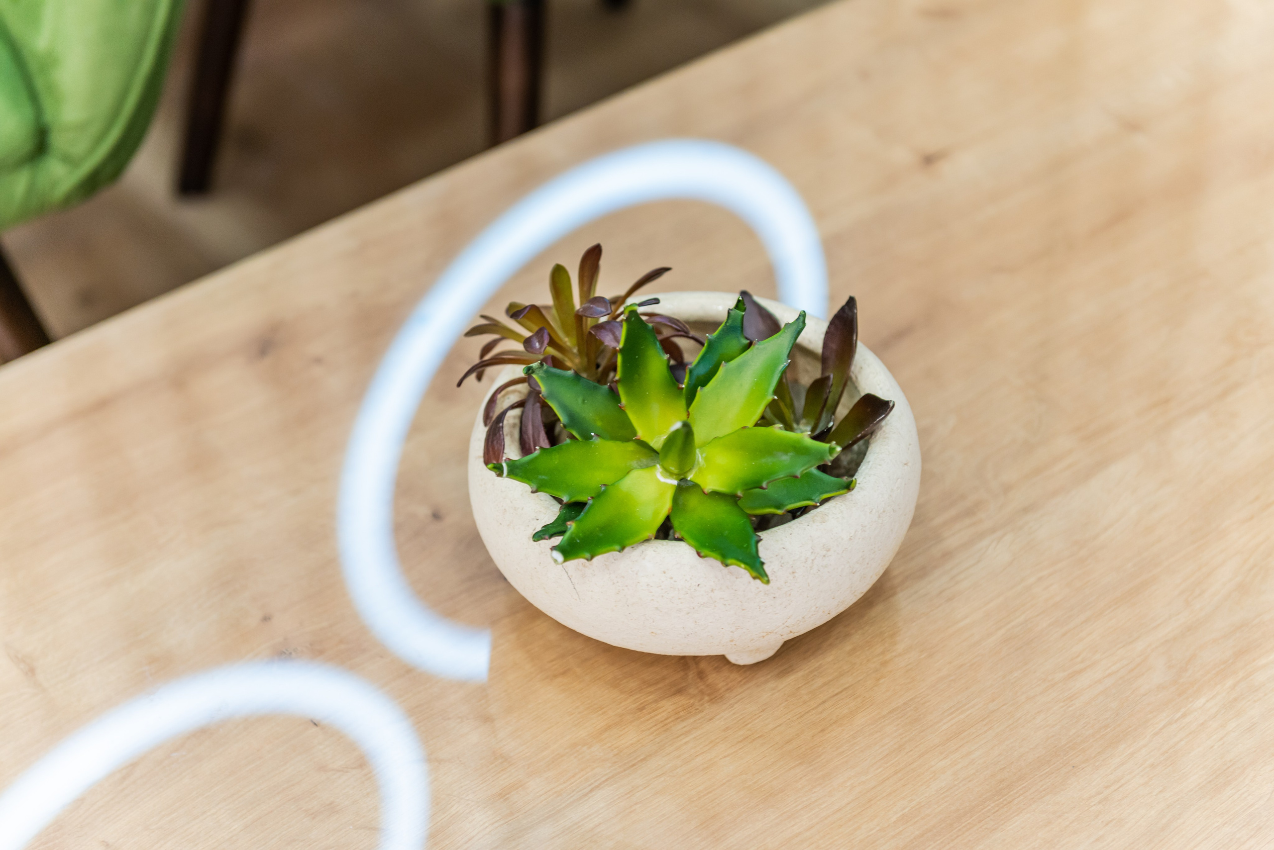 Салон красоты Империя цвета. ФОТОГРАФ МЕКСИКА КИНТАНА-РОО