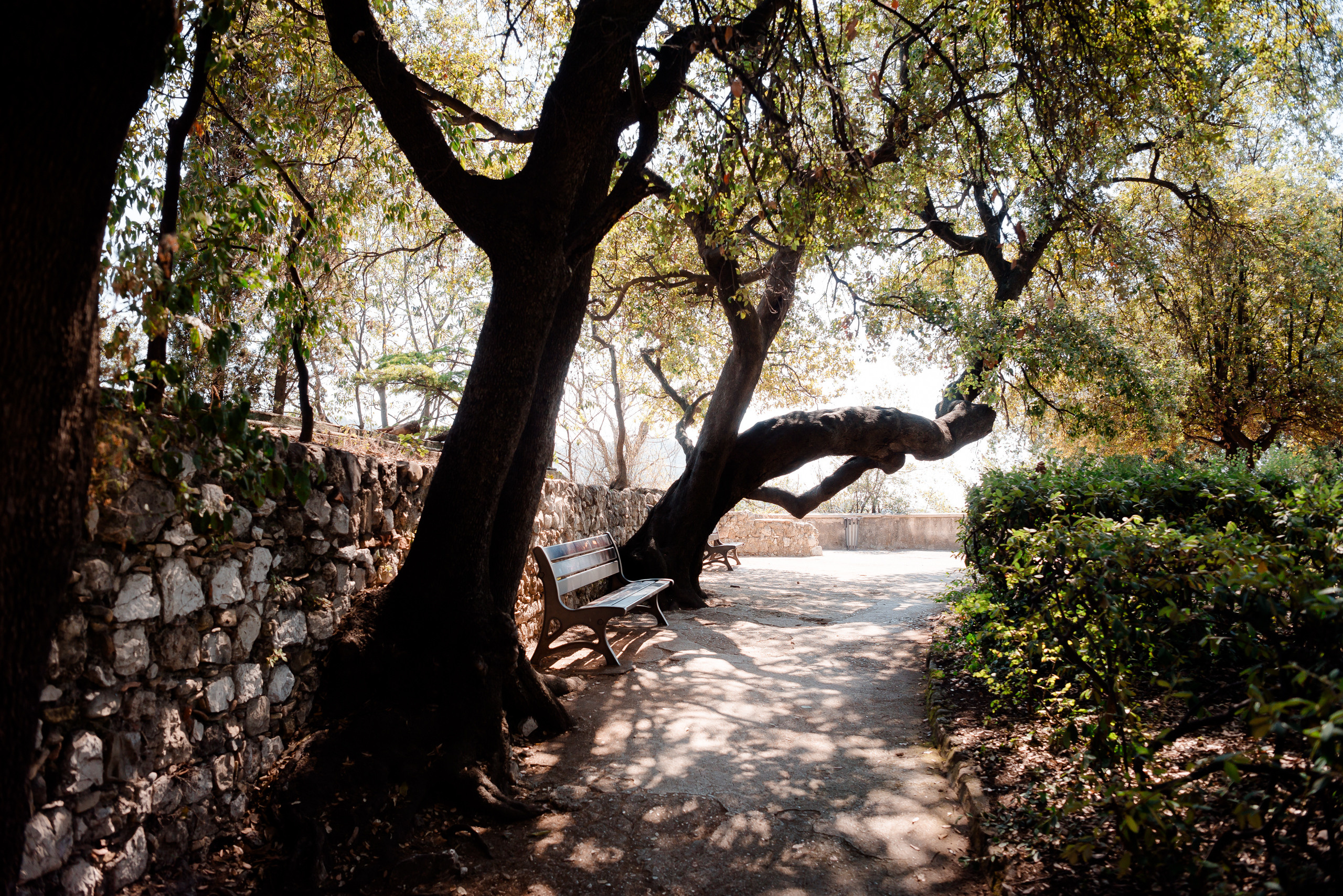 CONTENU DE MEDIAS SOCIAUX POUR ASTROLOGUE. MARIA VALUEVA Photographer in Nice, Cannes, Monaco, France, Europe, Istanbulm Turquie
