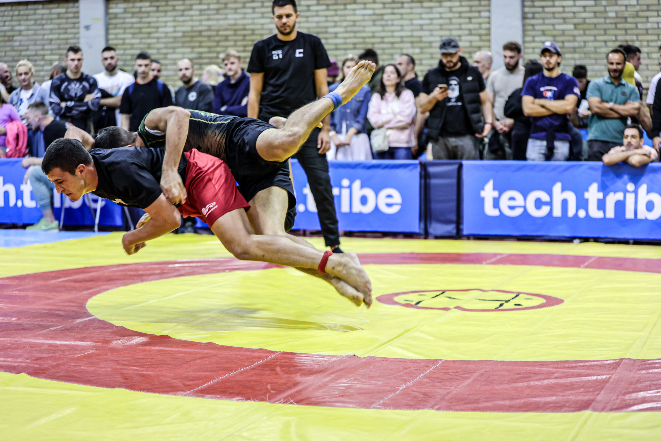 NO GI Challenge Novi Sad