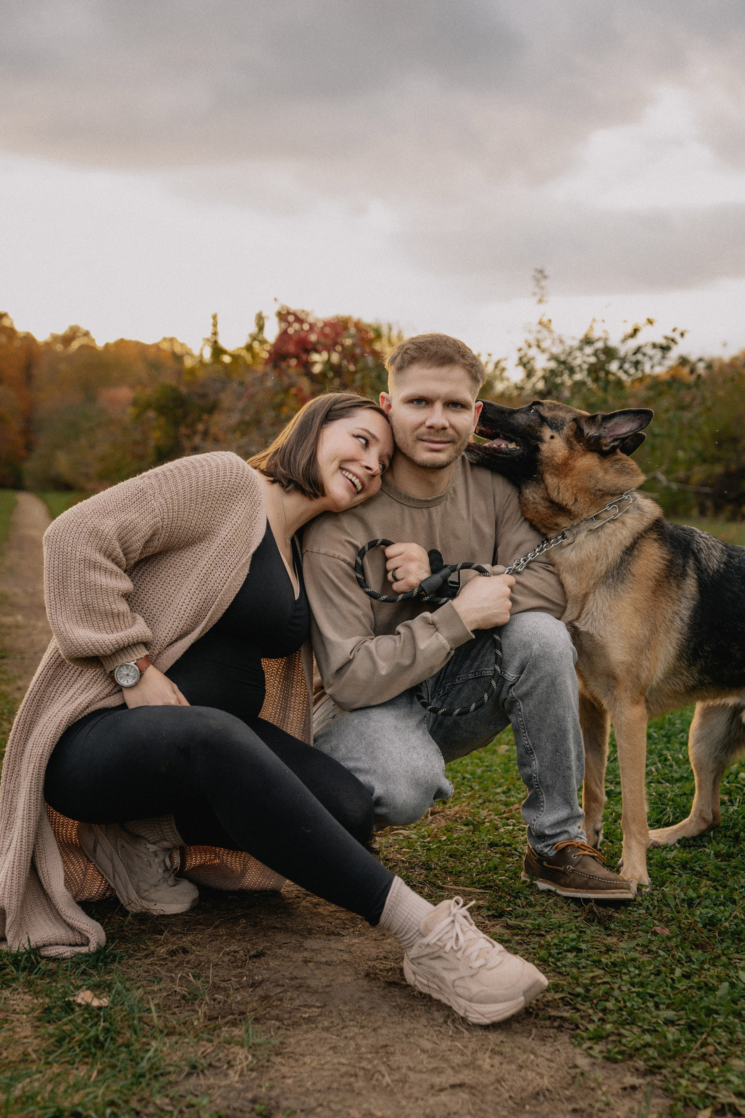 Fall Maternity Photography – Golden Autumn & Apple Orchard Magic. Alisa Tant — Family and newborn photographer Bucks County, Montgomery county, Philadelphia, NJ