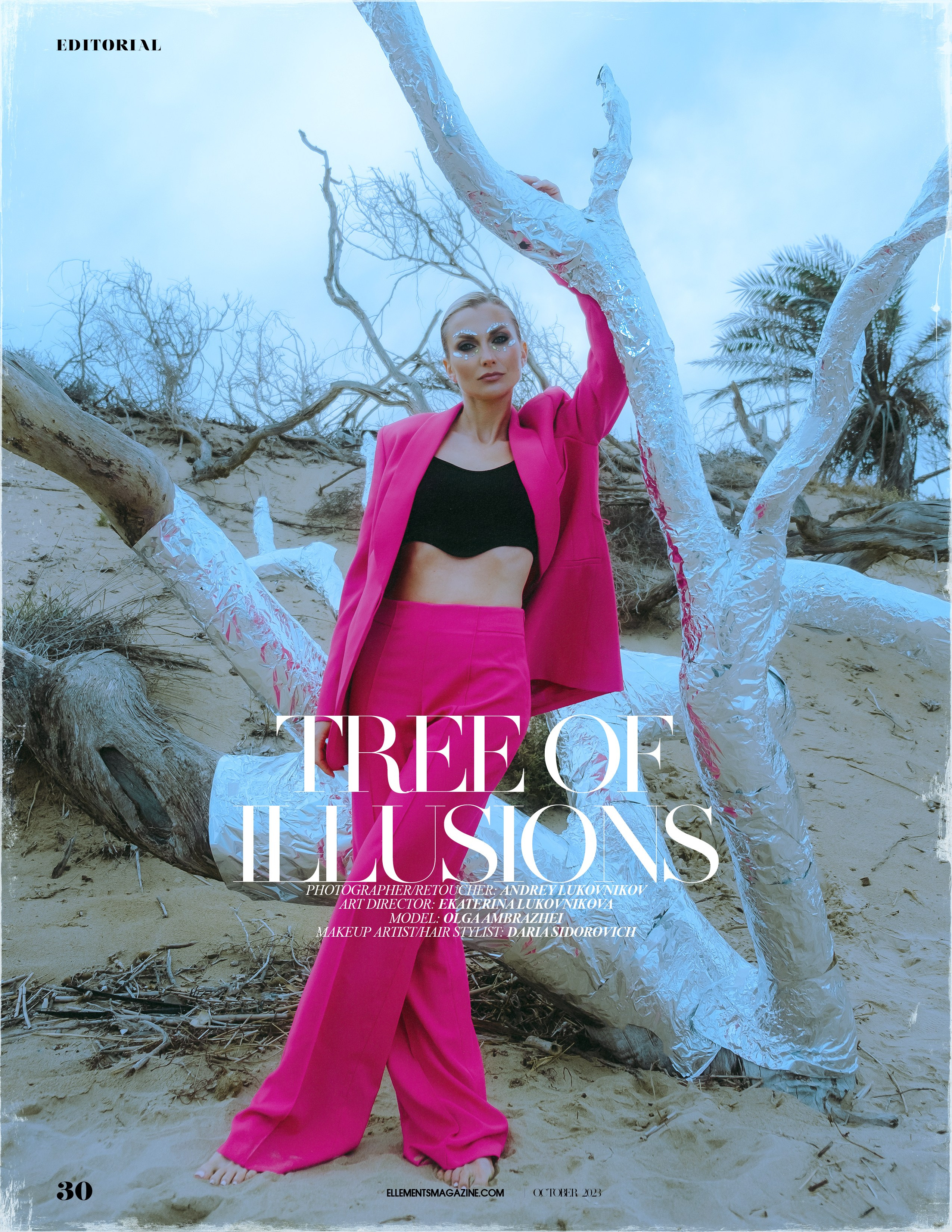 The best publications of the project Tree of Illusions