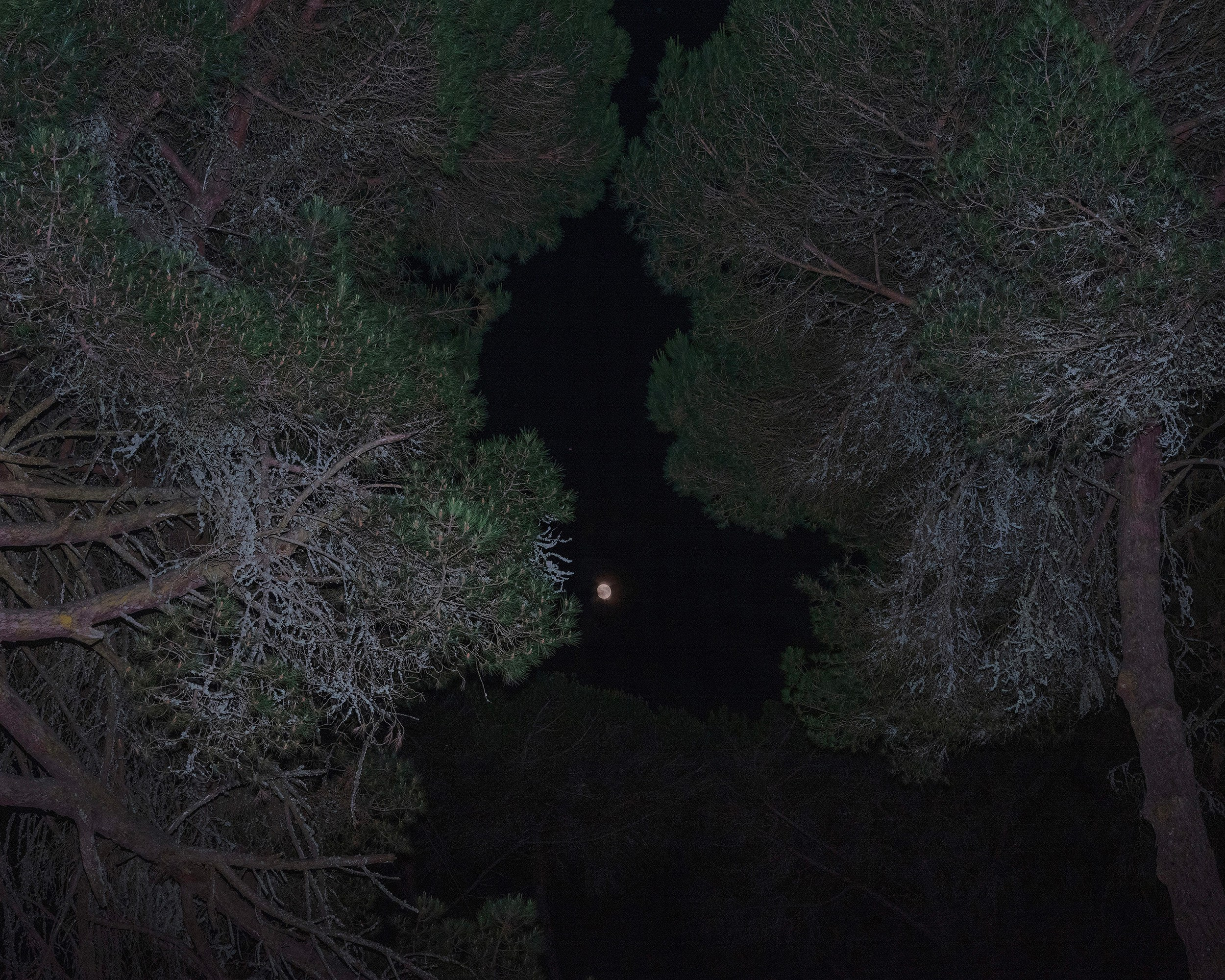 Katya Bogachevskaya — independent curator, lecturer