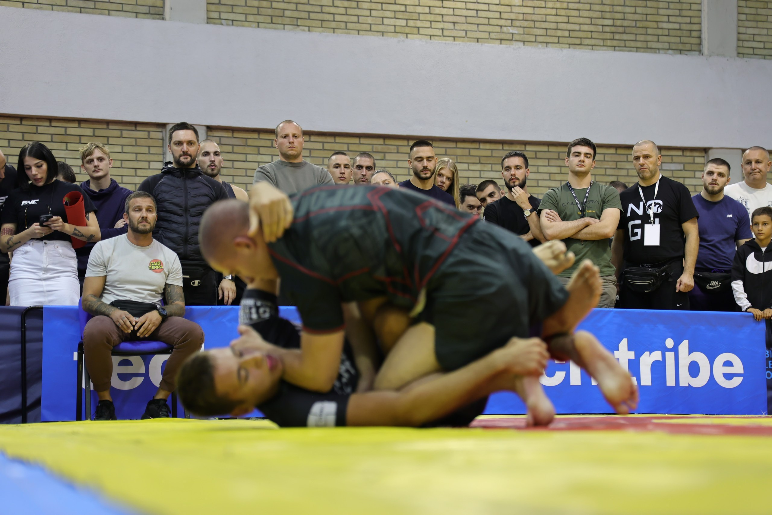 NO GI Challenge Novi Sad