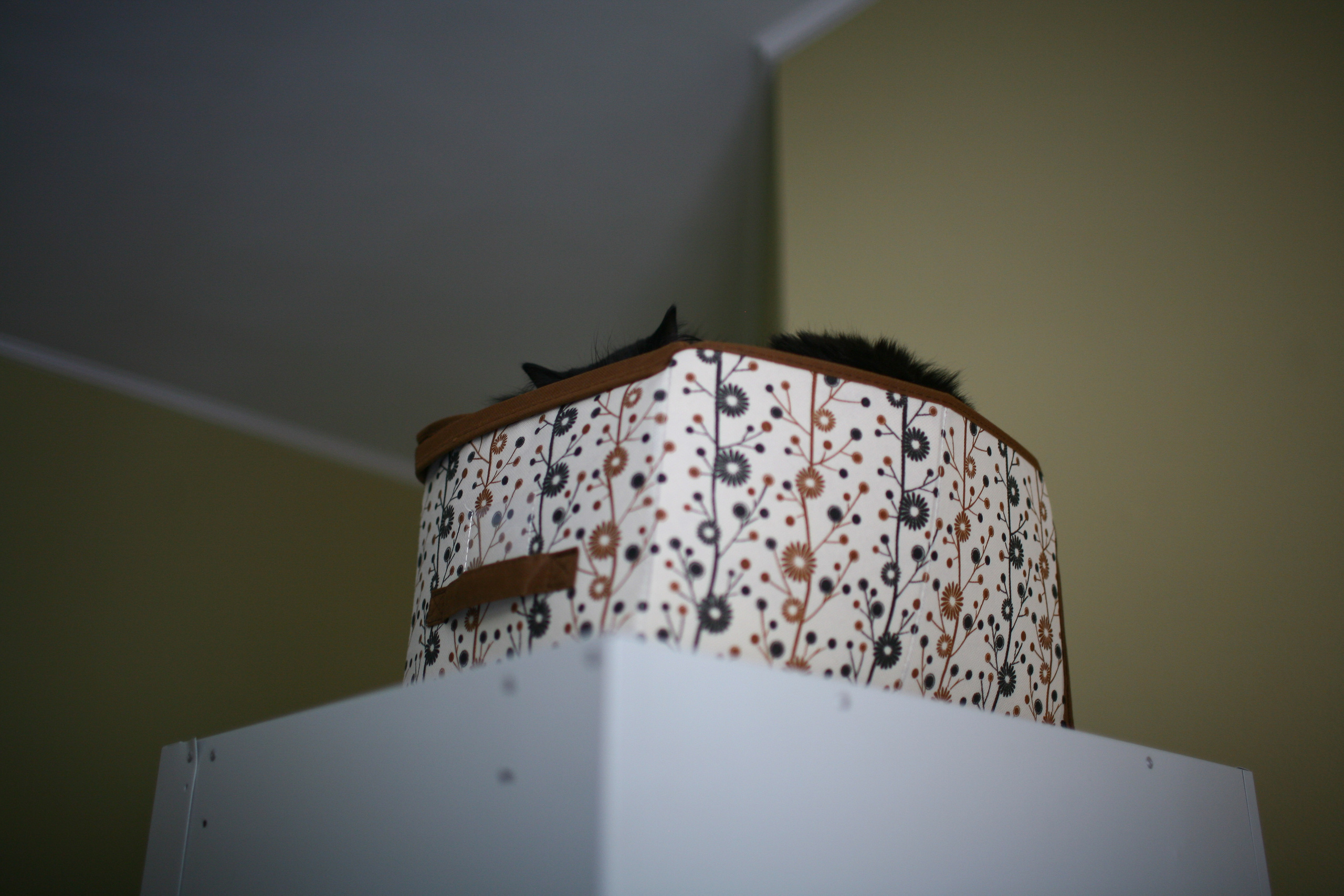 Vera and her morning at hostel. Victoria Dini. Art photography in London / Folkestone, UK