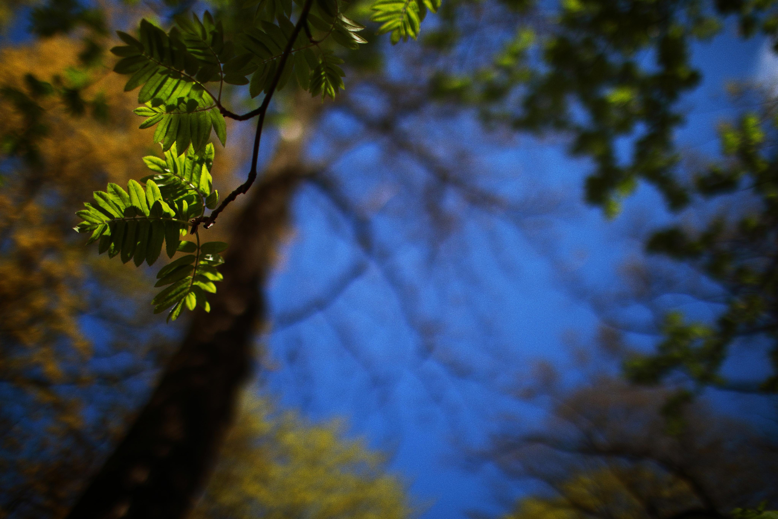 Milka Piter Finding out. Victoria Dini. Art photography in London / Folkestone, UK