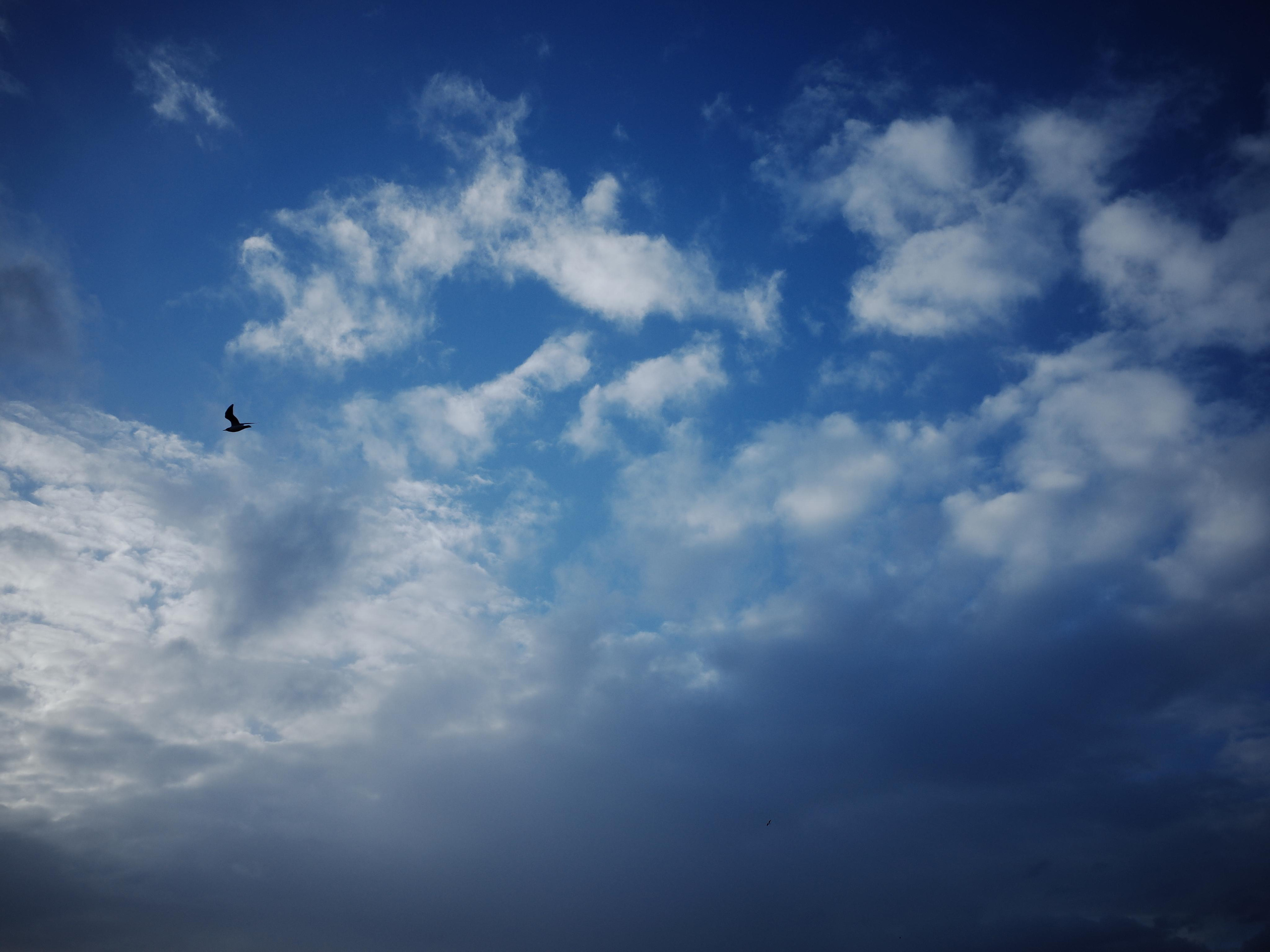 Fatima Rolling Up. Victoria Dini. Art photography in London / Folkestone, UK